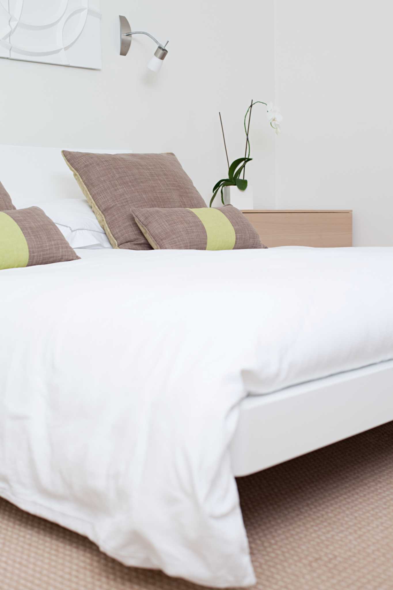 Down Vs. Synthetic Comforter