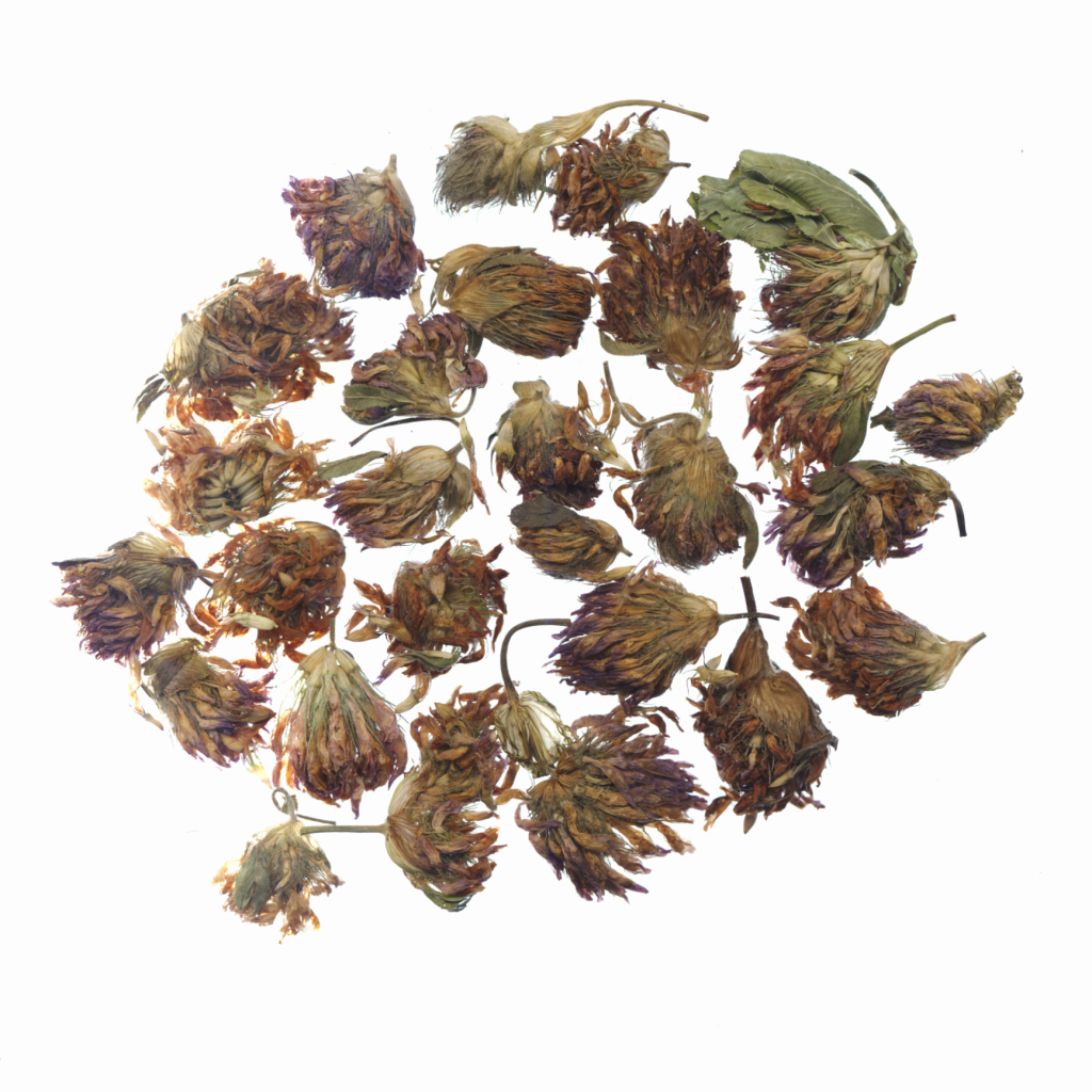 How to Dry Silica Gel in a Microwave