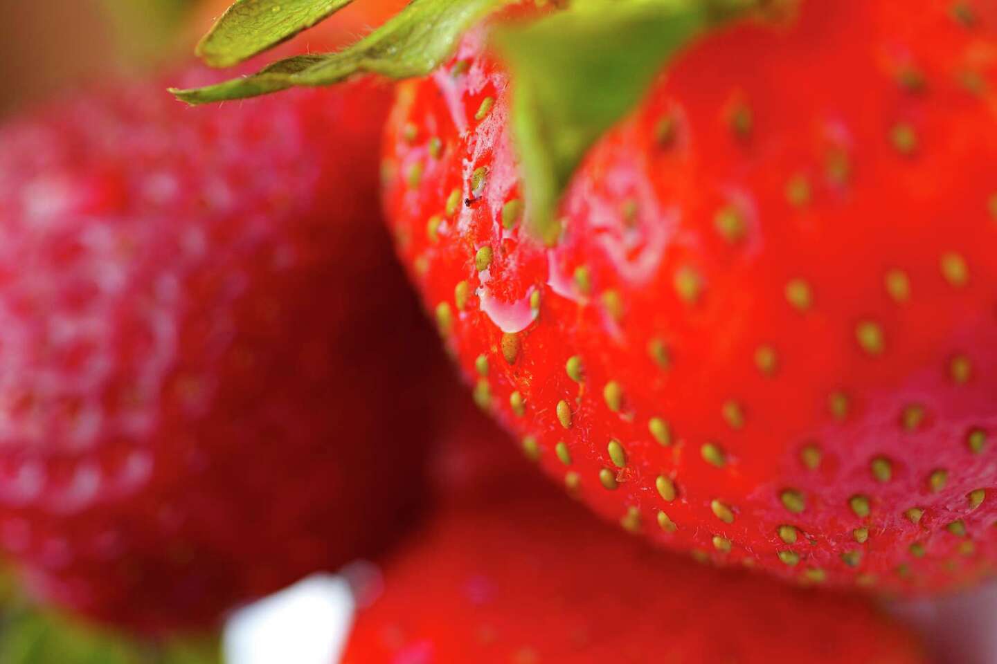 How to Use Cedar Mulch to Cover Strawberries