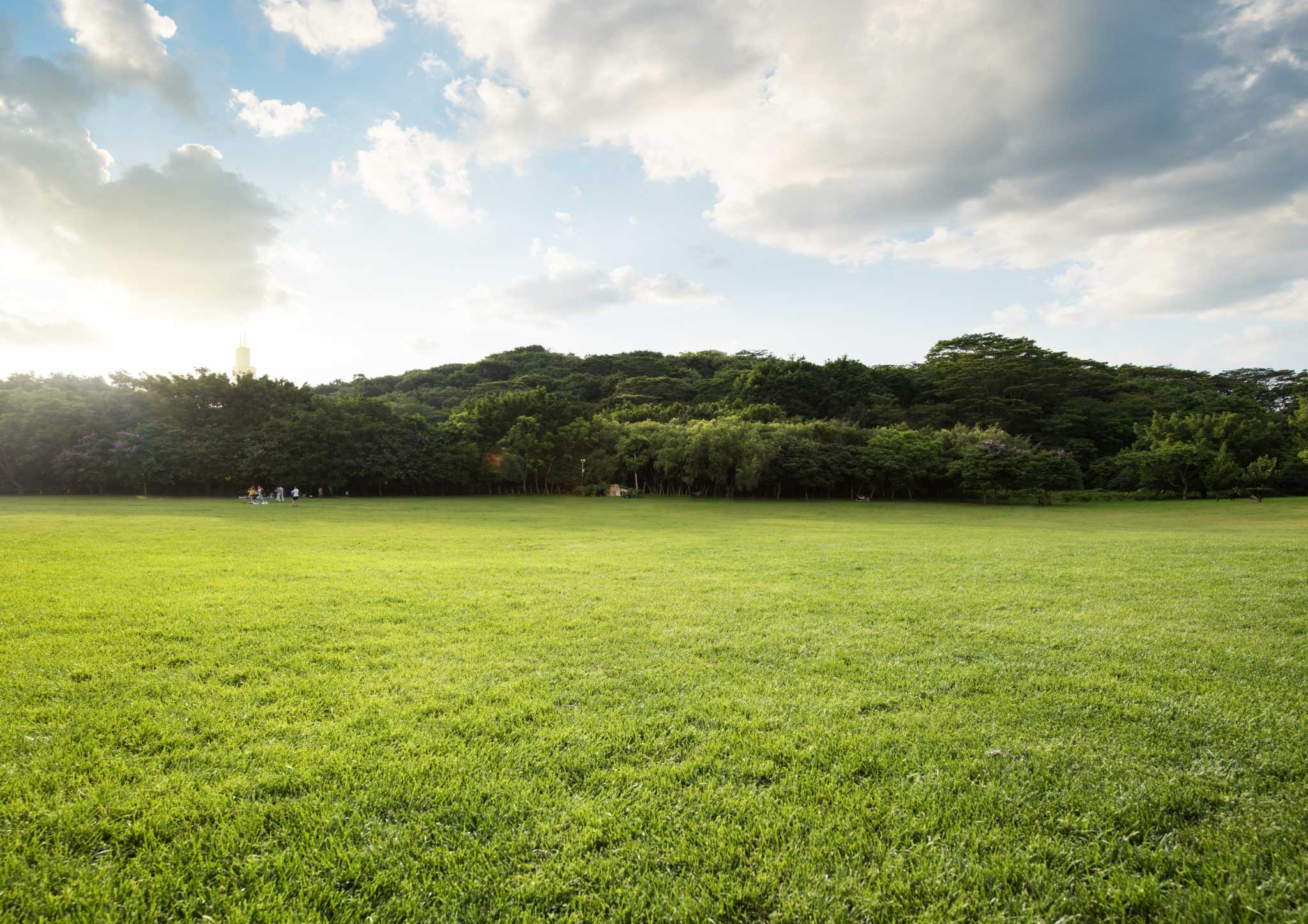 Advantages & Disadvantages of St. Augustine Grass