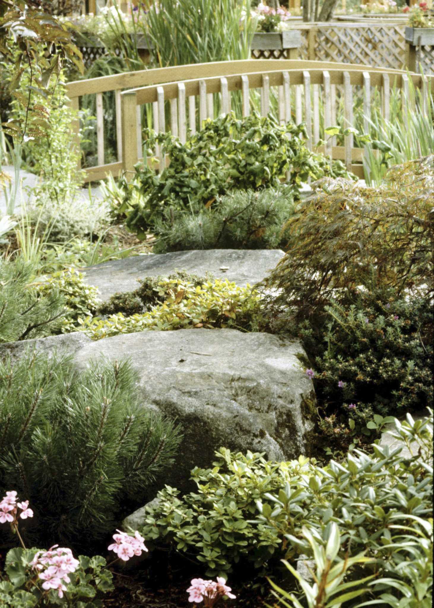 How to Replace Grass and Mulch With Groundcover