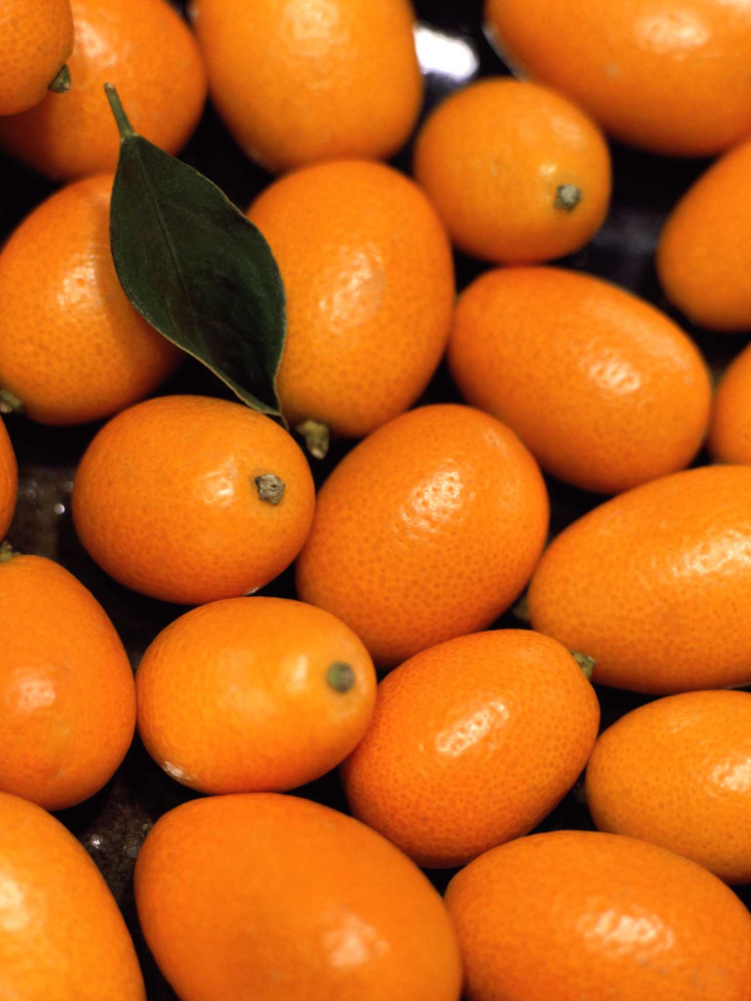 What's The Difference Between Oranges, Mandarins, Satsumas