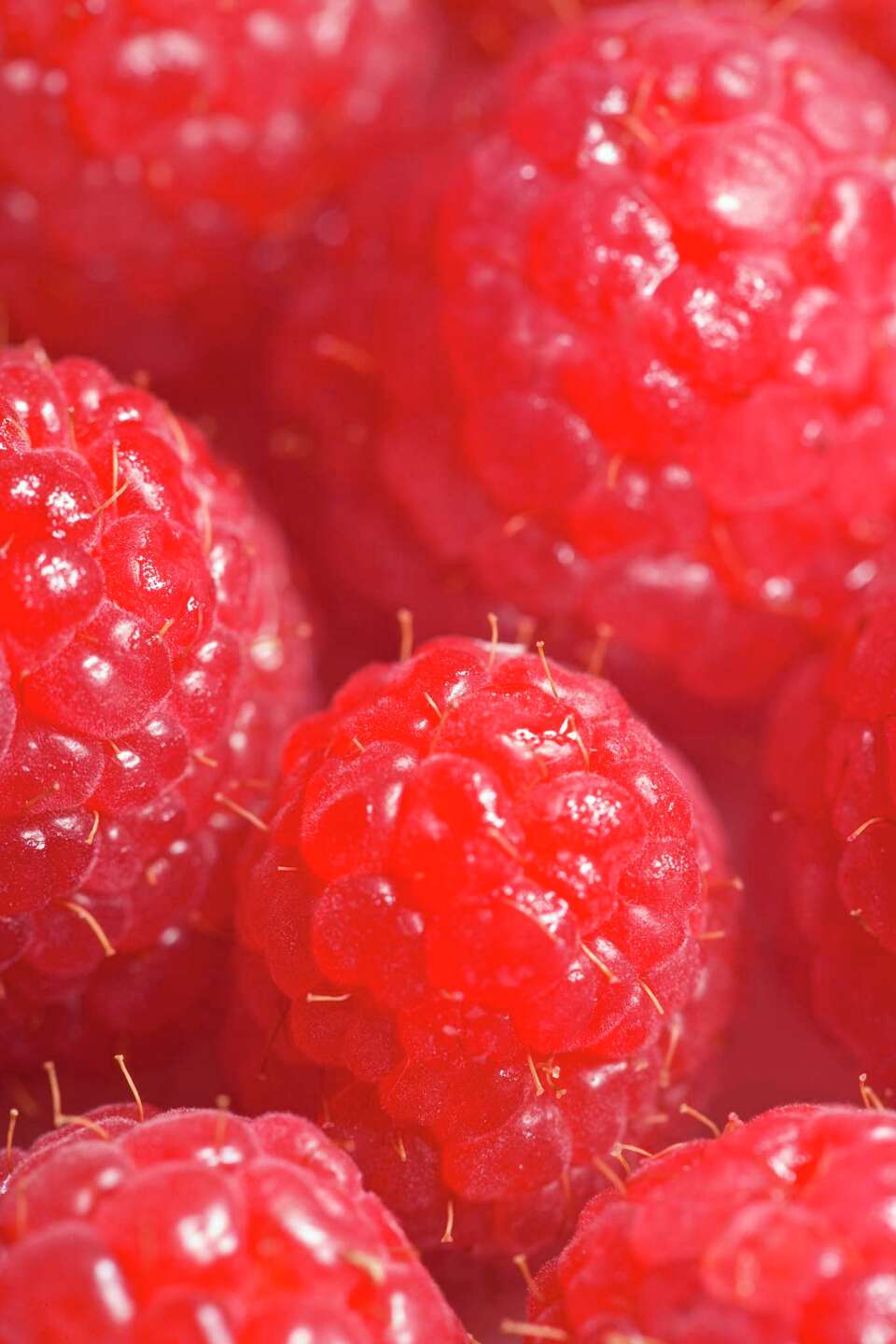 Raspberry Plants for Zone 9