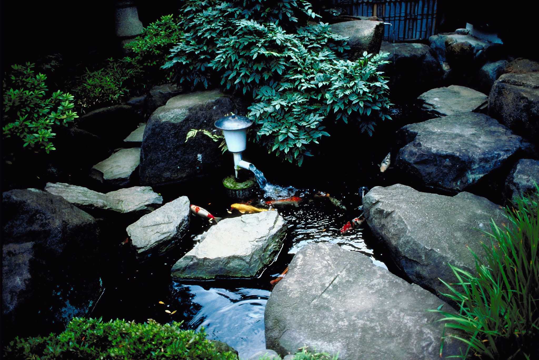 How to Aerate Water for Plants