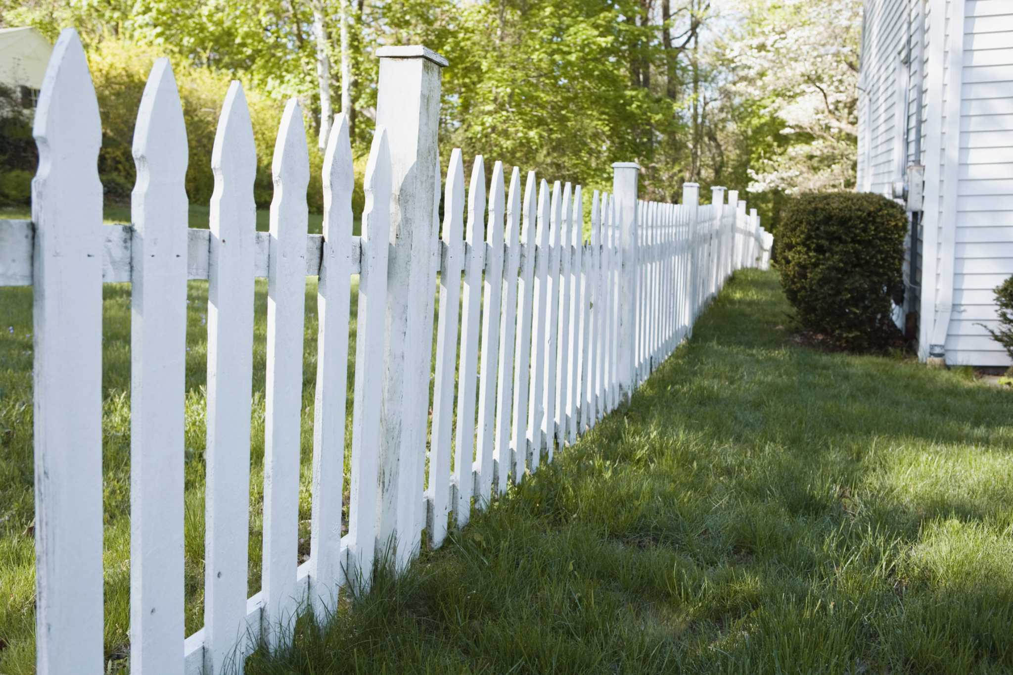 How to Kill Weeds on a Fence Line