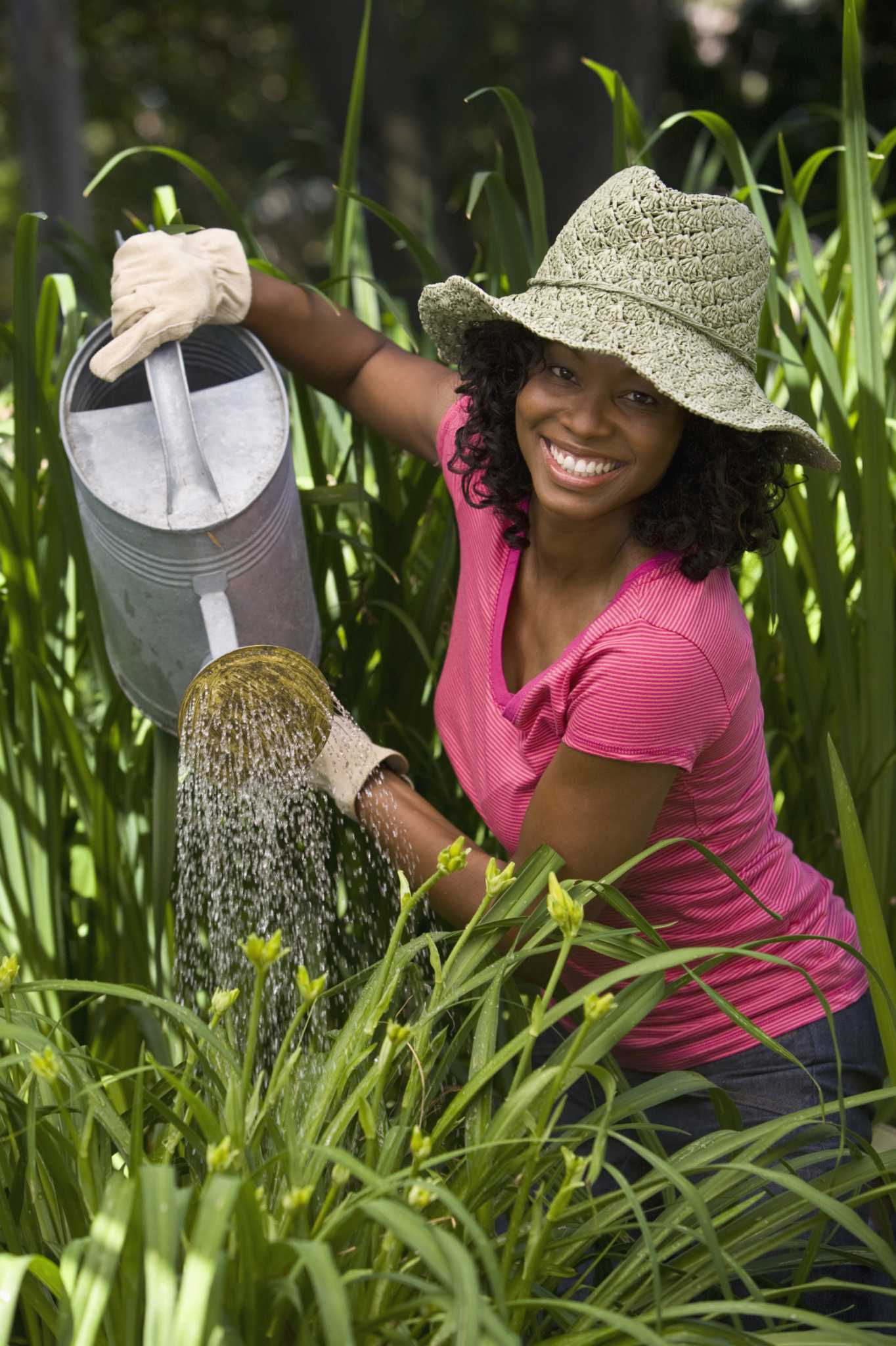 Annual Flowers That Are Drought Resistant