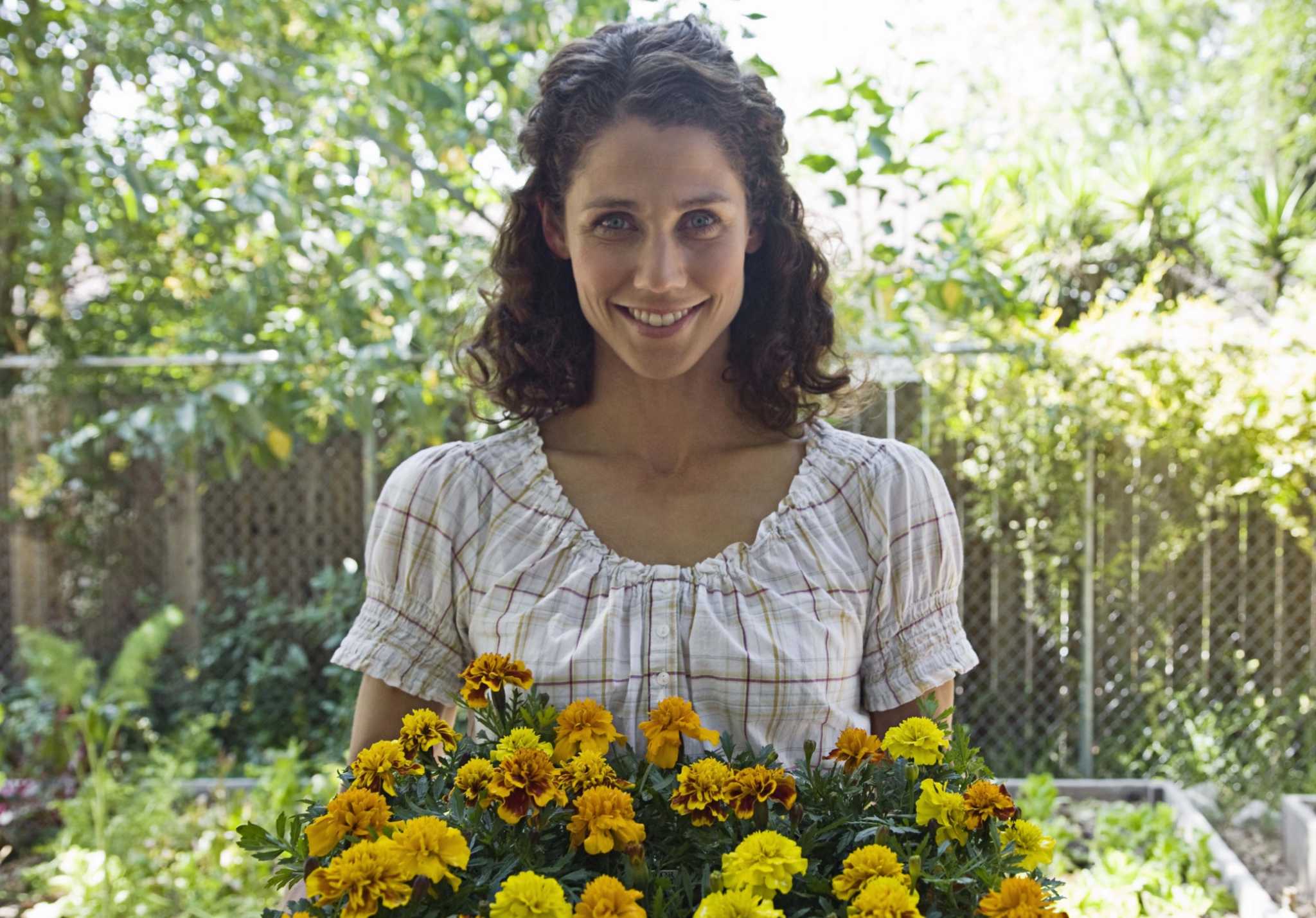 Annual Flowers That Last the Longest in the Garden