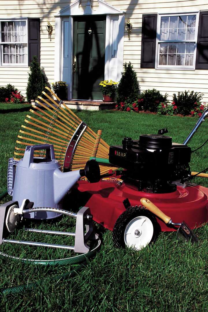 My Annual Ryegrass Is Turning Brown