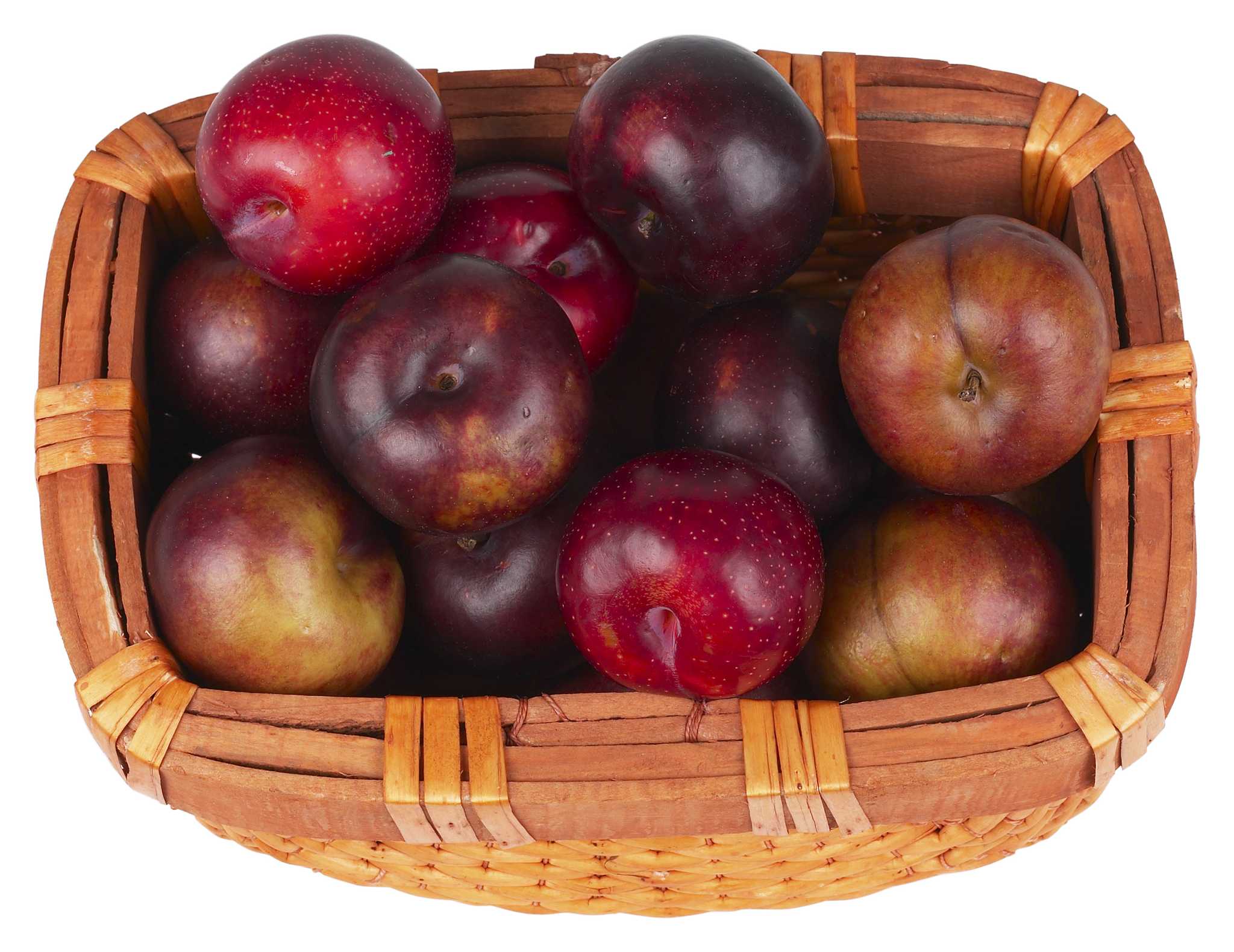 Which Apples Cross Pollinate With an Empire Apple?