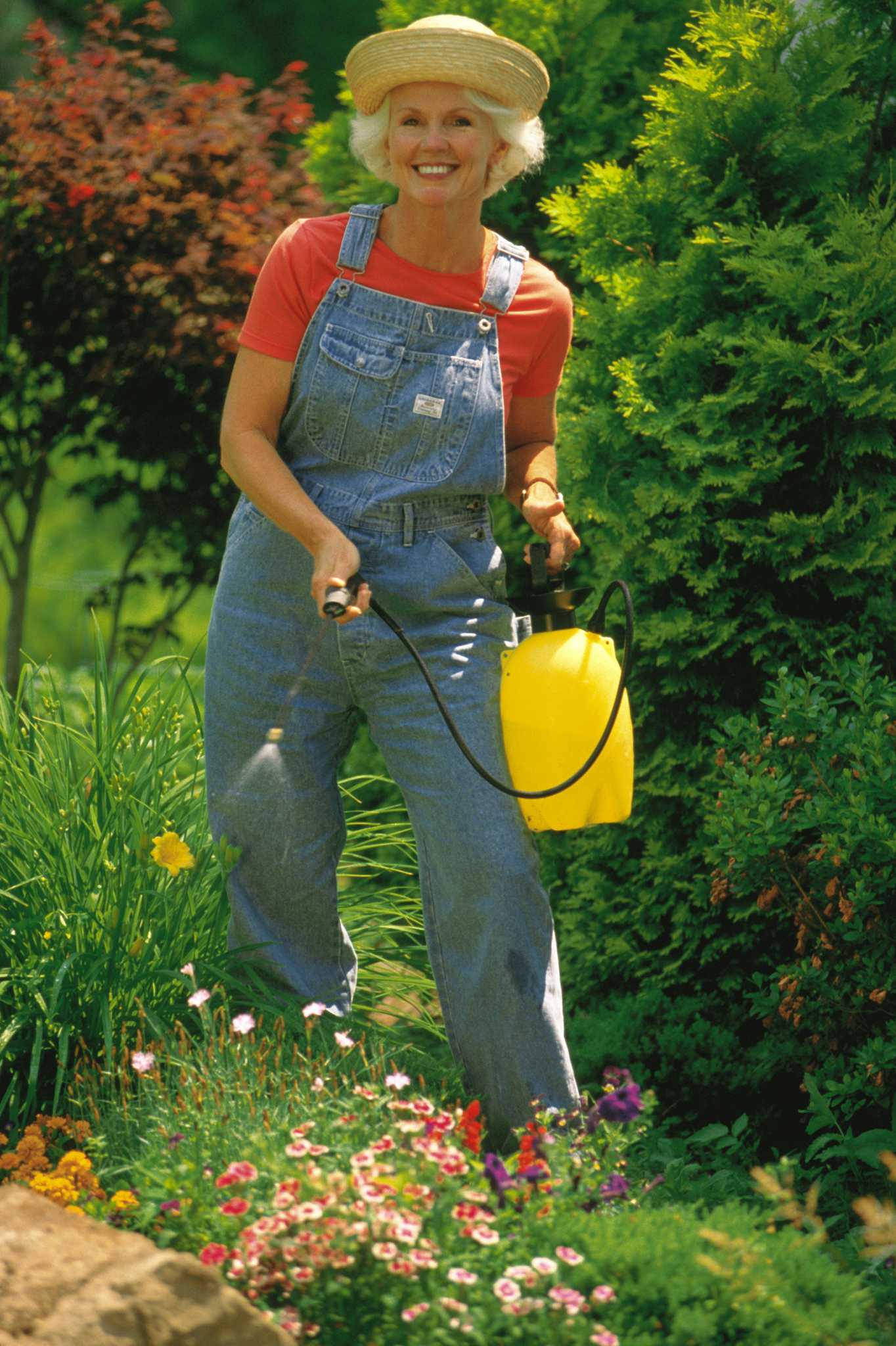 How to Apply Canola Oil As a Pesticide