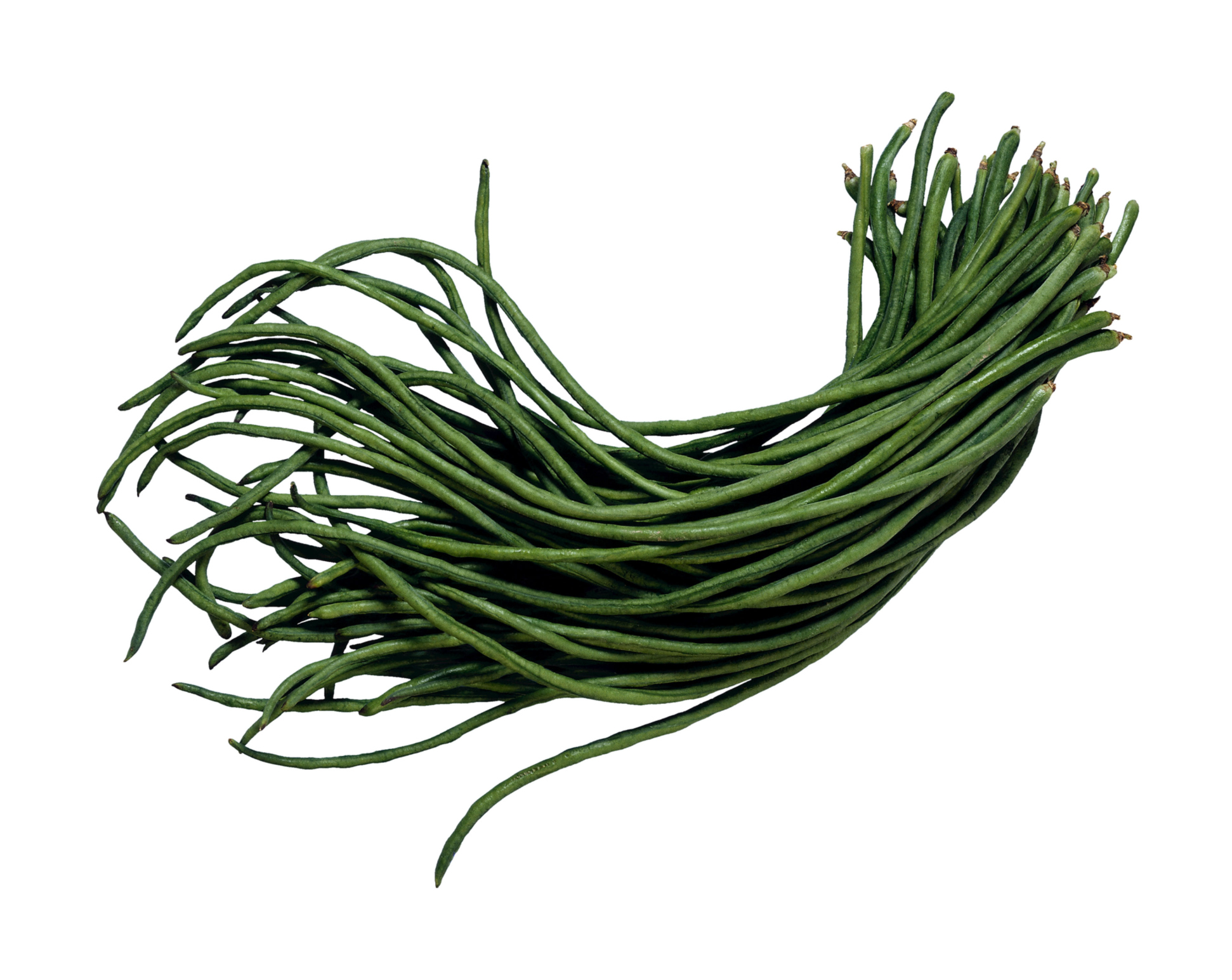 Asparagus Bean Plant Problems