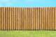 Generic wooden residential privacy fence with a lush green grass yard in the foreground and a beautiful blue sky with fluffy clouds.