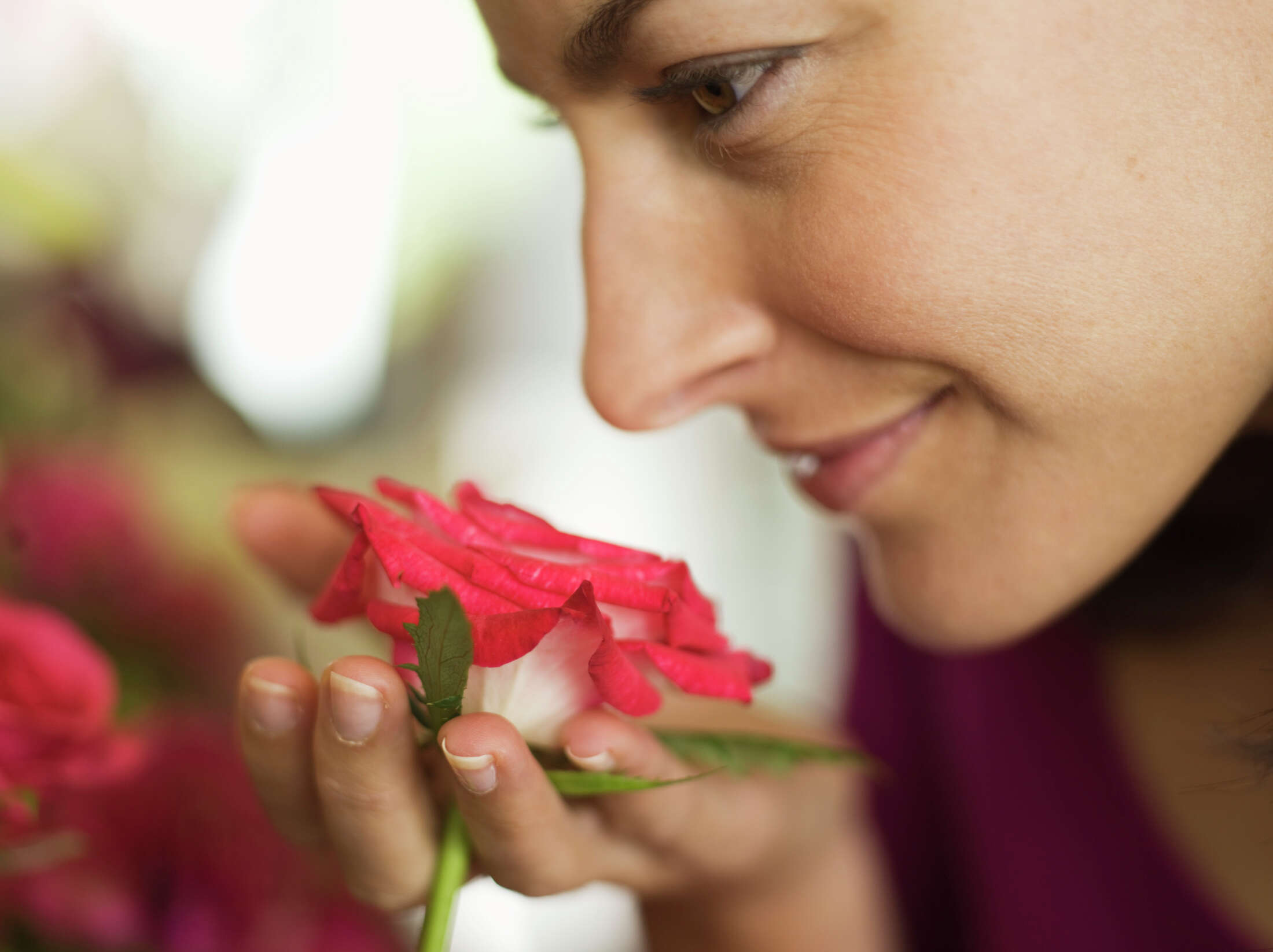 How to Attach a Trellis to Vinyl Siding