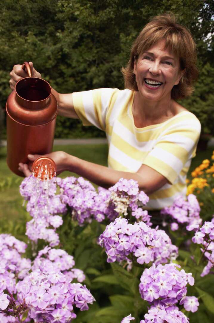 How to Fertilize Spruce Trees