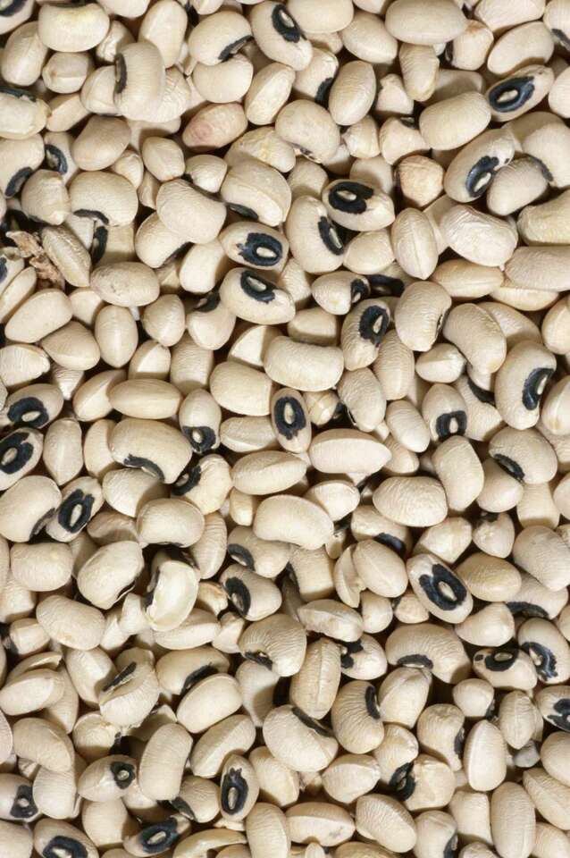 How Long Does It Take for a BlackEyed Pea to Germinate?