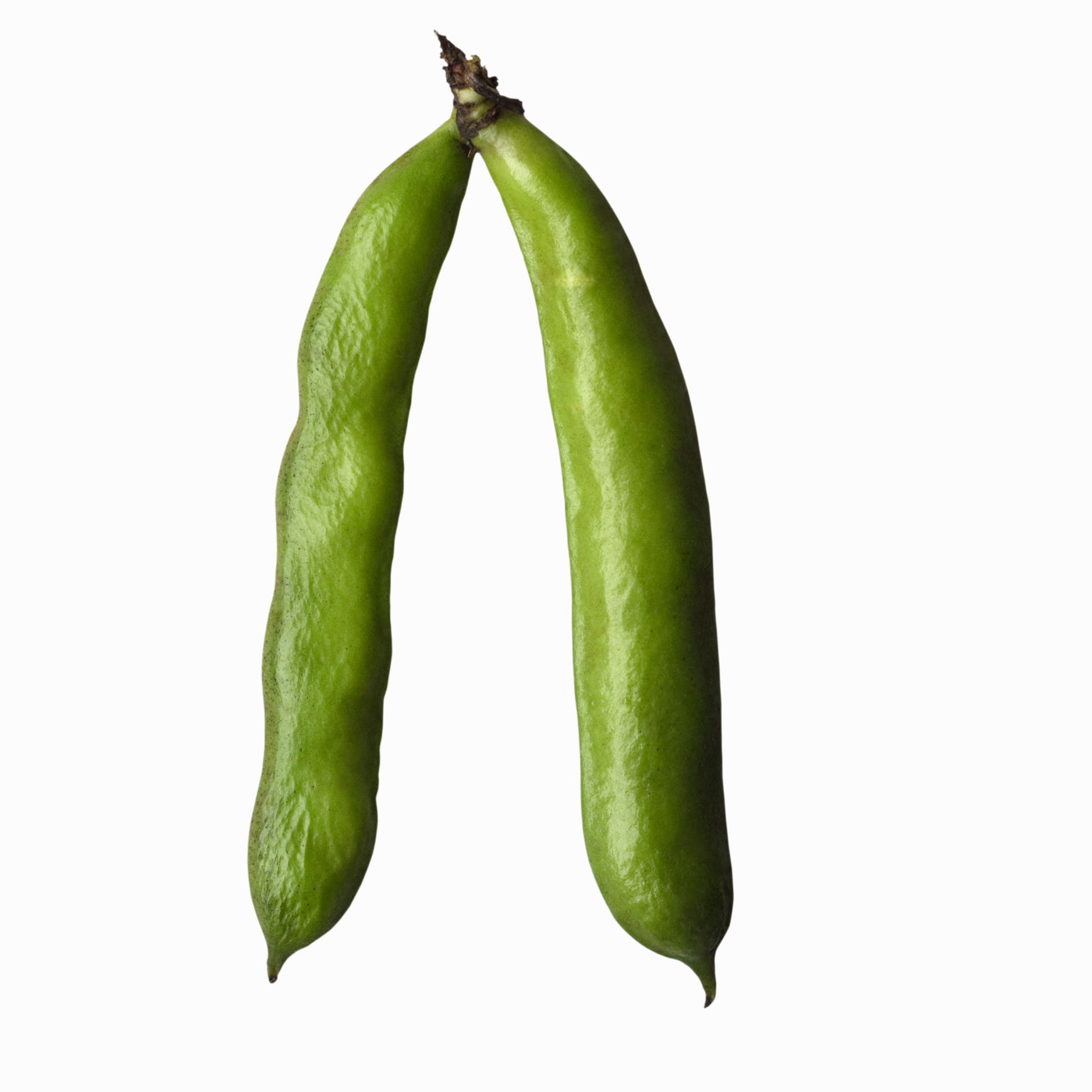 How to Fertilize With Fava Beans