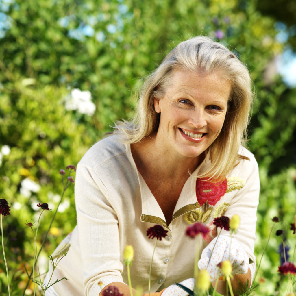 When to Fertilize Perennial Gardens