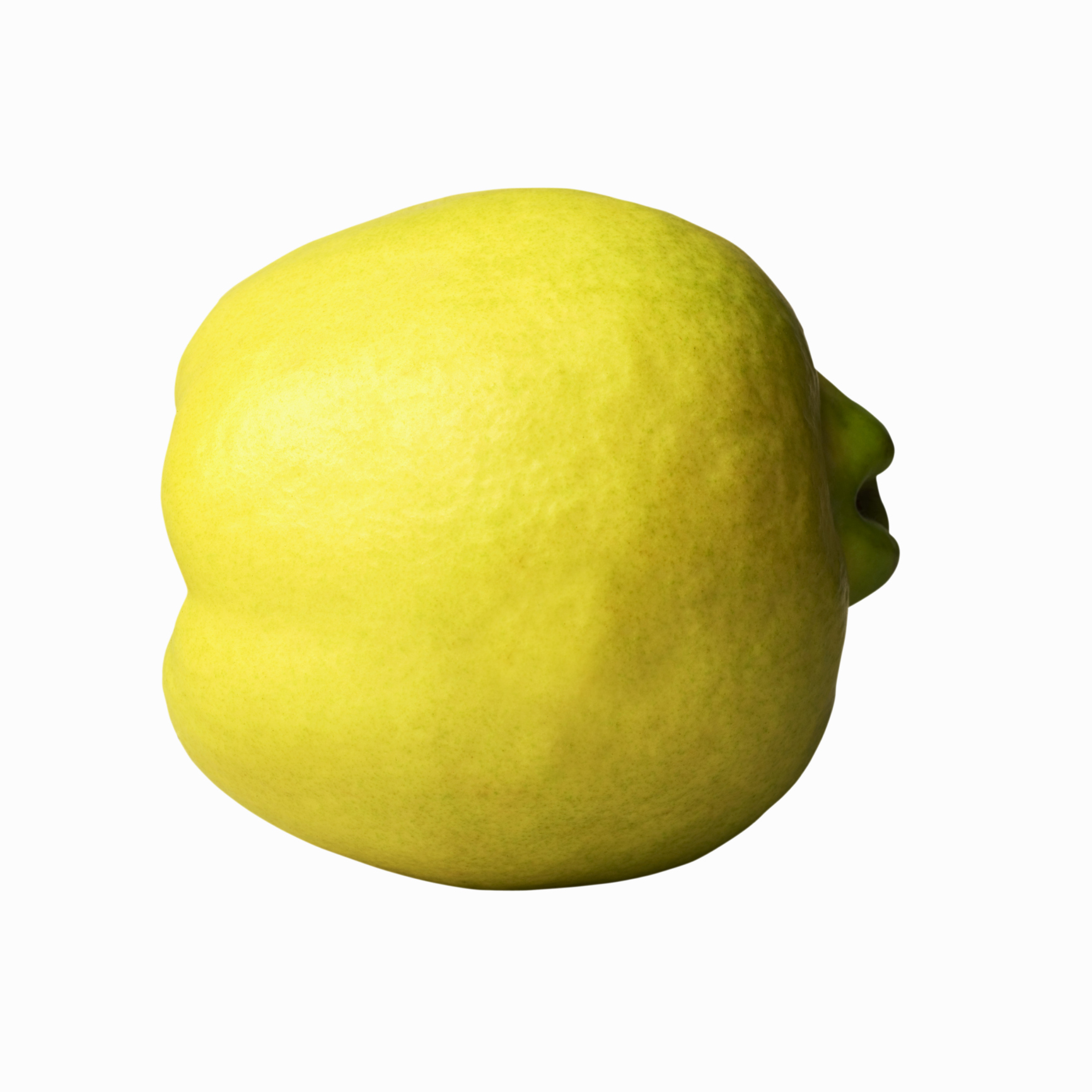 How & When to Fertilize Quince