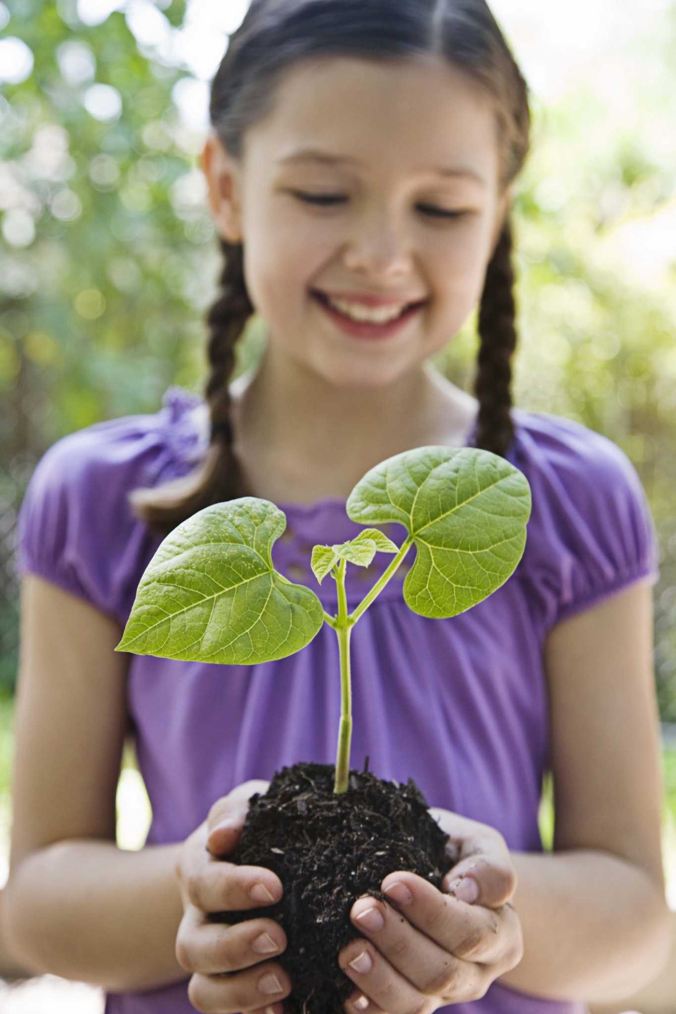Soil Contamination Testing