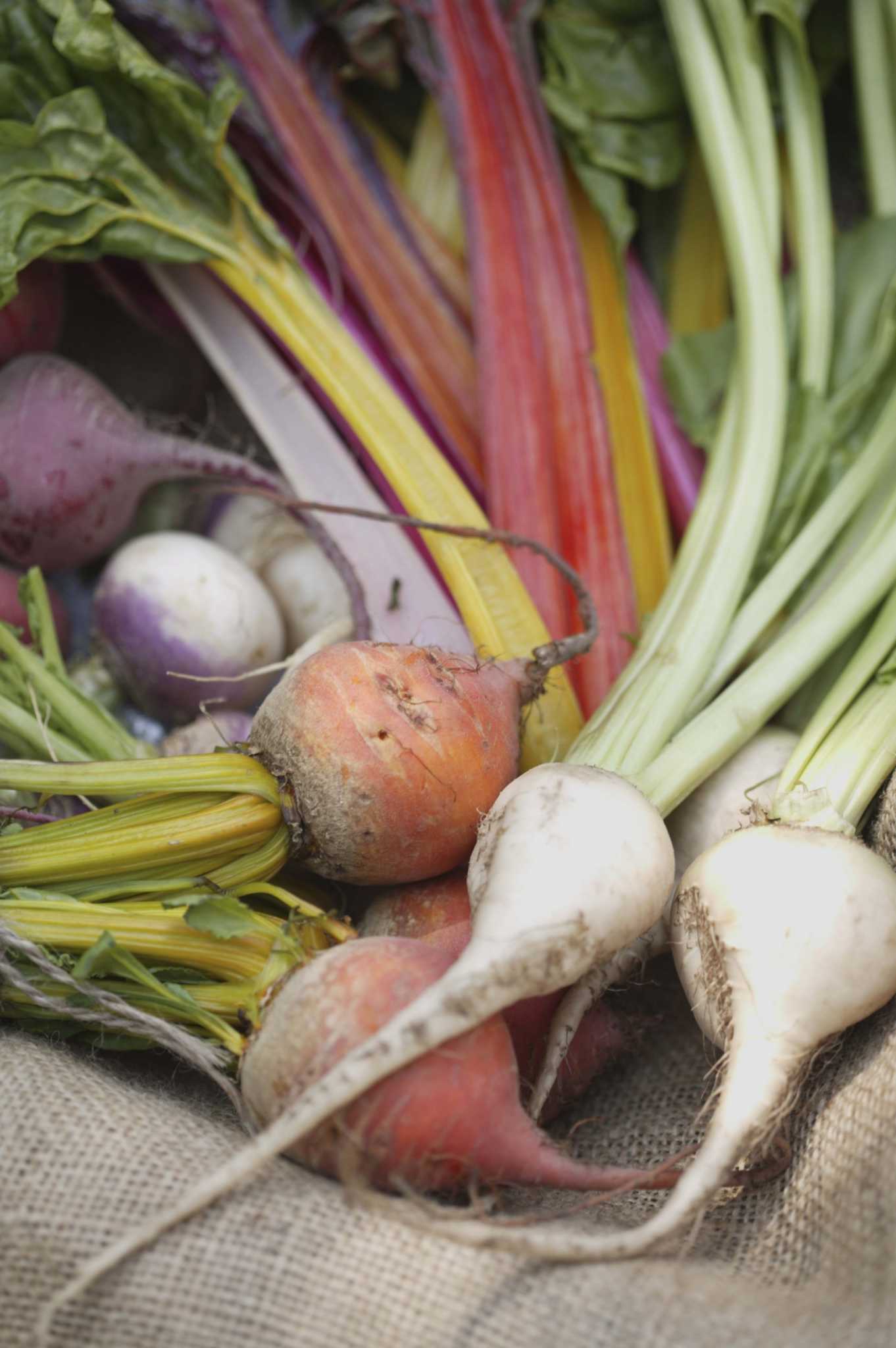 What Fertilizers Are Good for Root Crops?