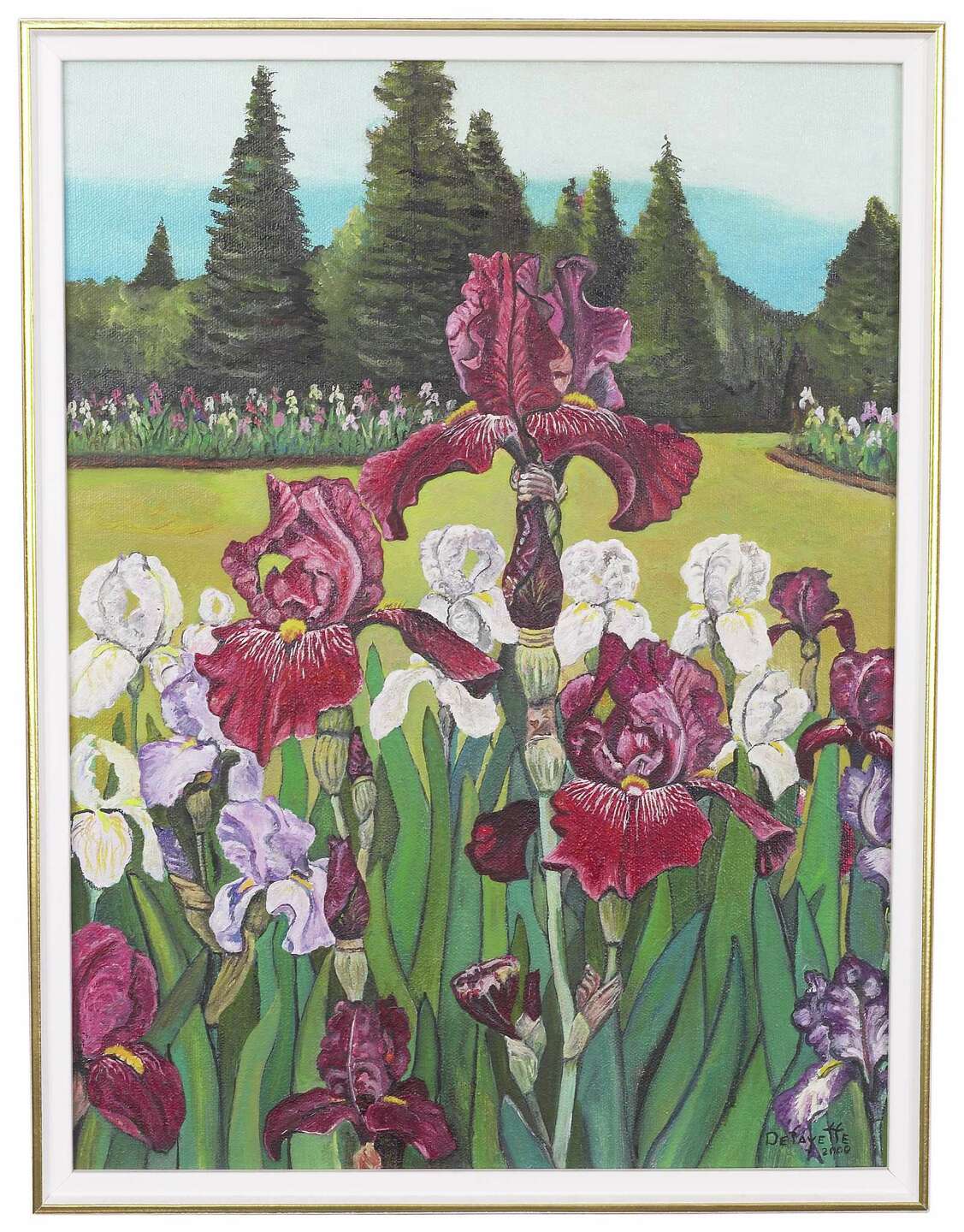 Why Do Bearded Irises Not Flower Every Year?