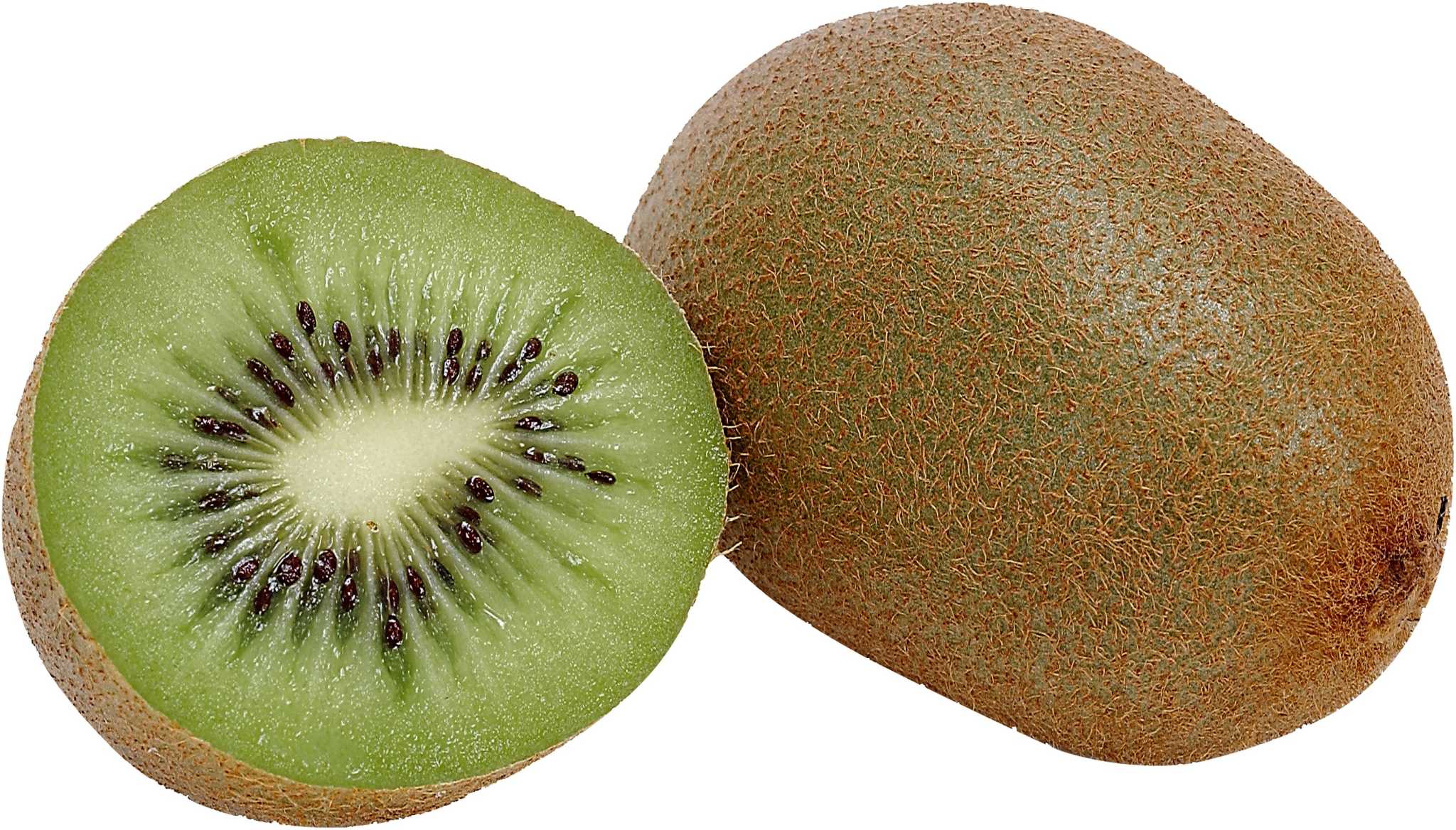 Kiwifruit, Actinidia spp. – Wisconsin Horticulture