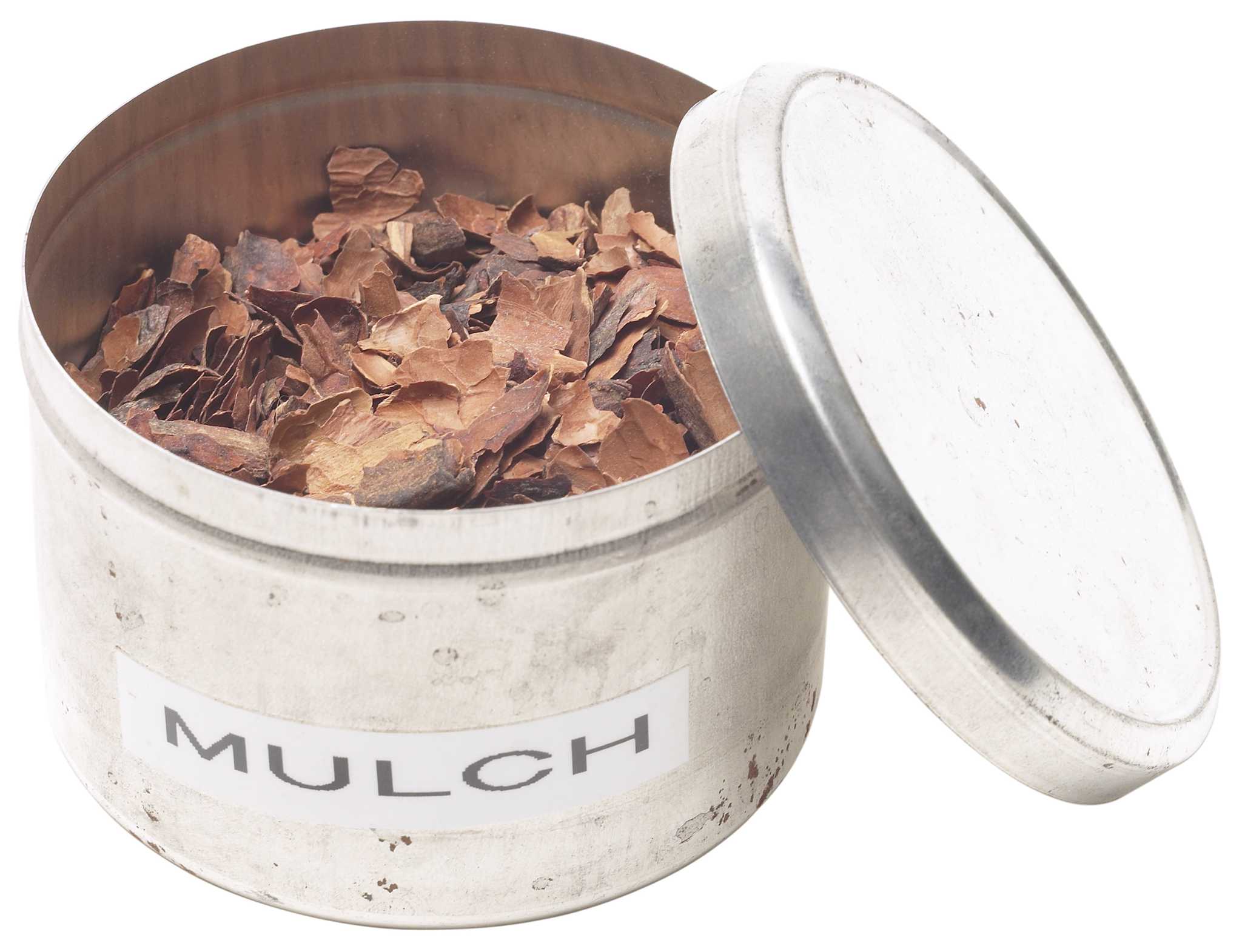 How Often to Water a Blue Point Juniper