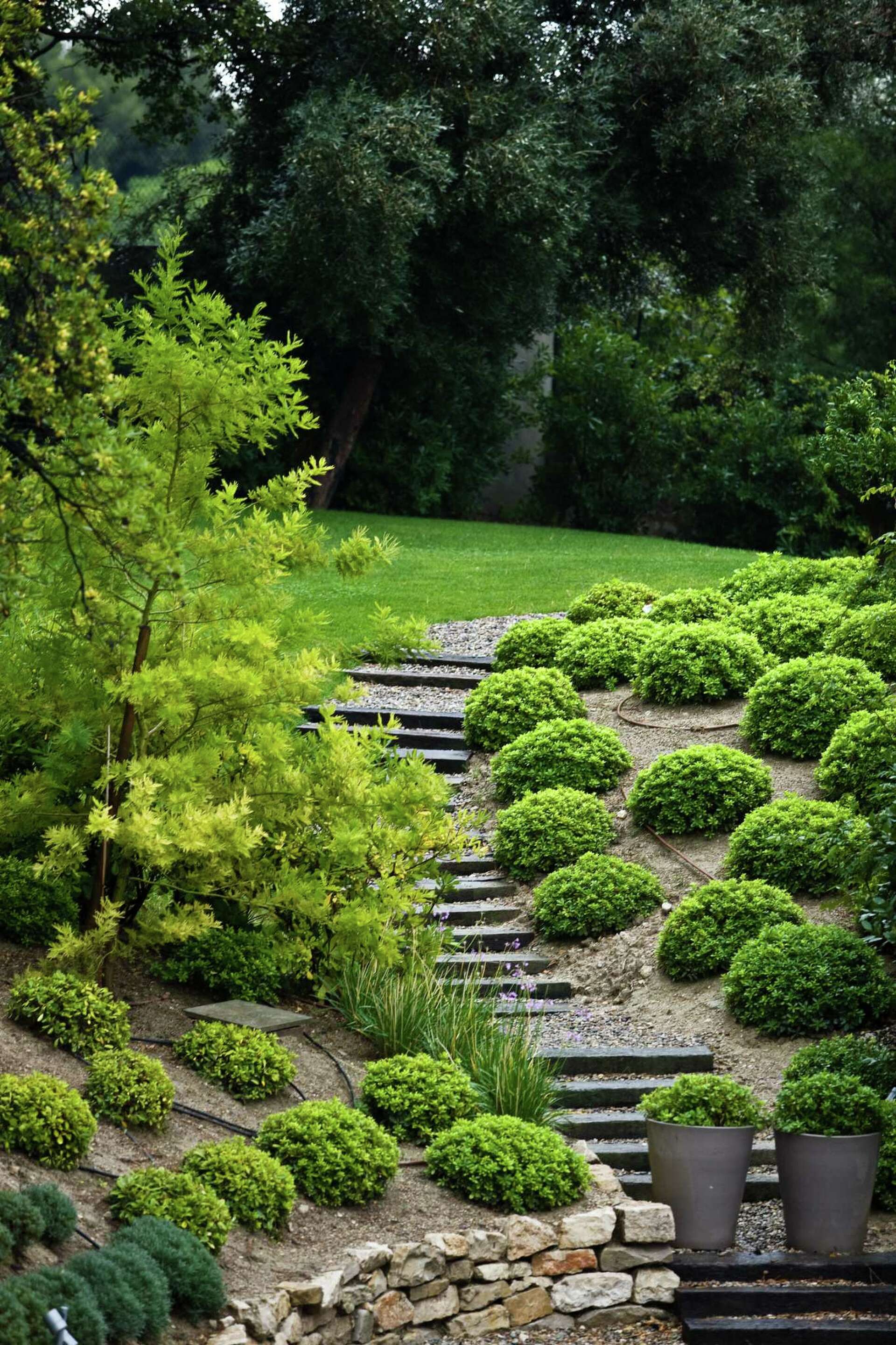 Steep hill landscaping