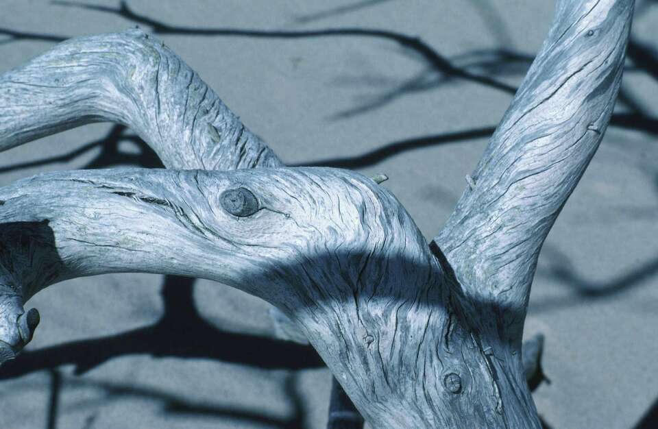 How to Finish Driftwood