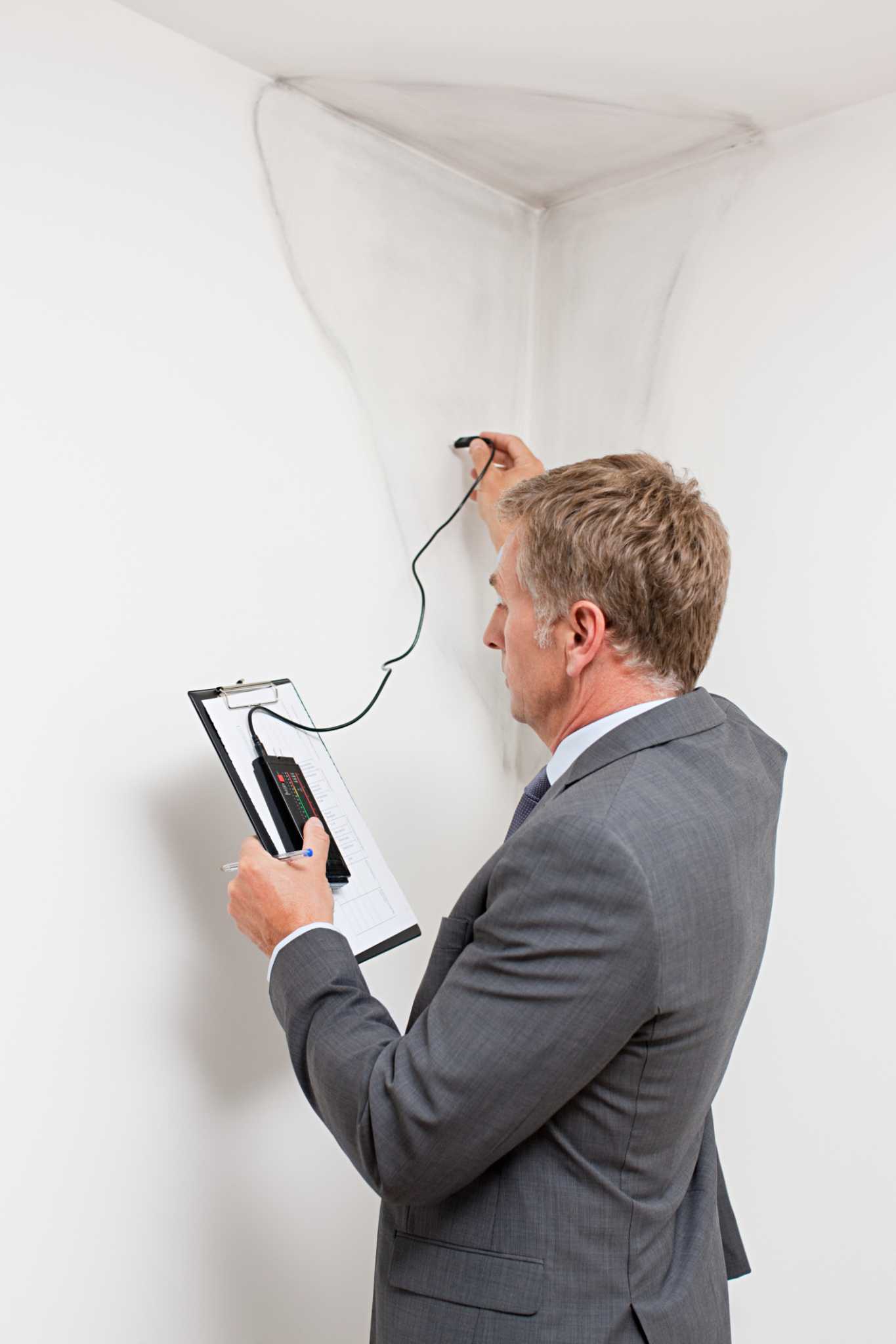 How to Get Black Mold Out of a Wood Ceiling