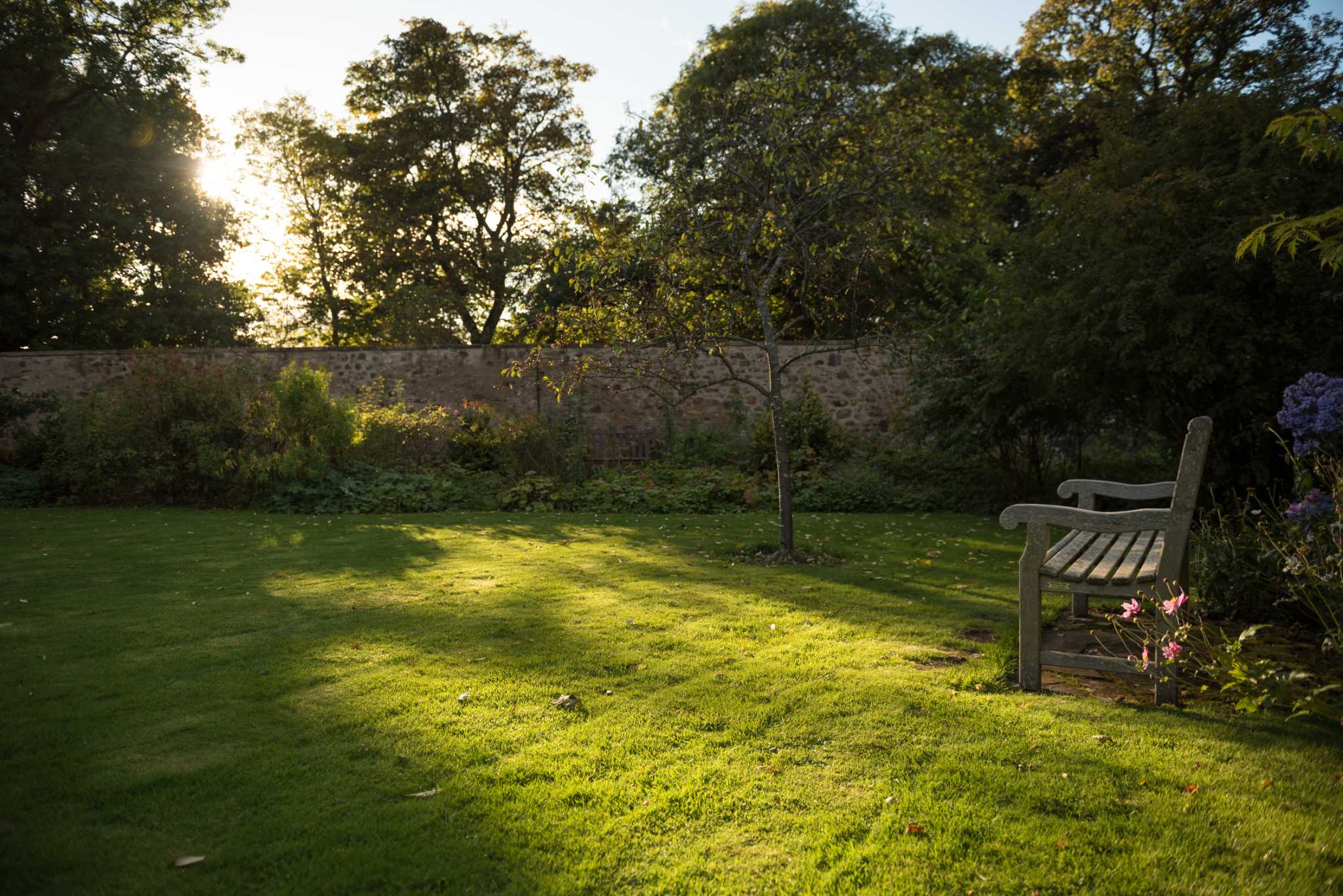 How to Fix a Bumpy Lawn