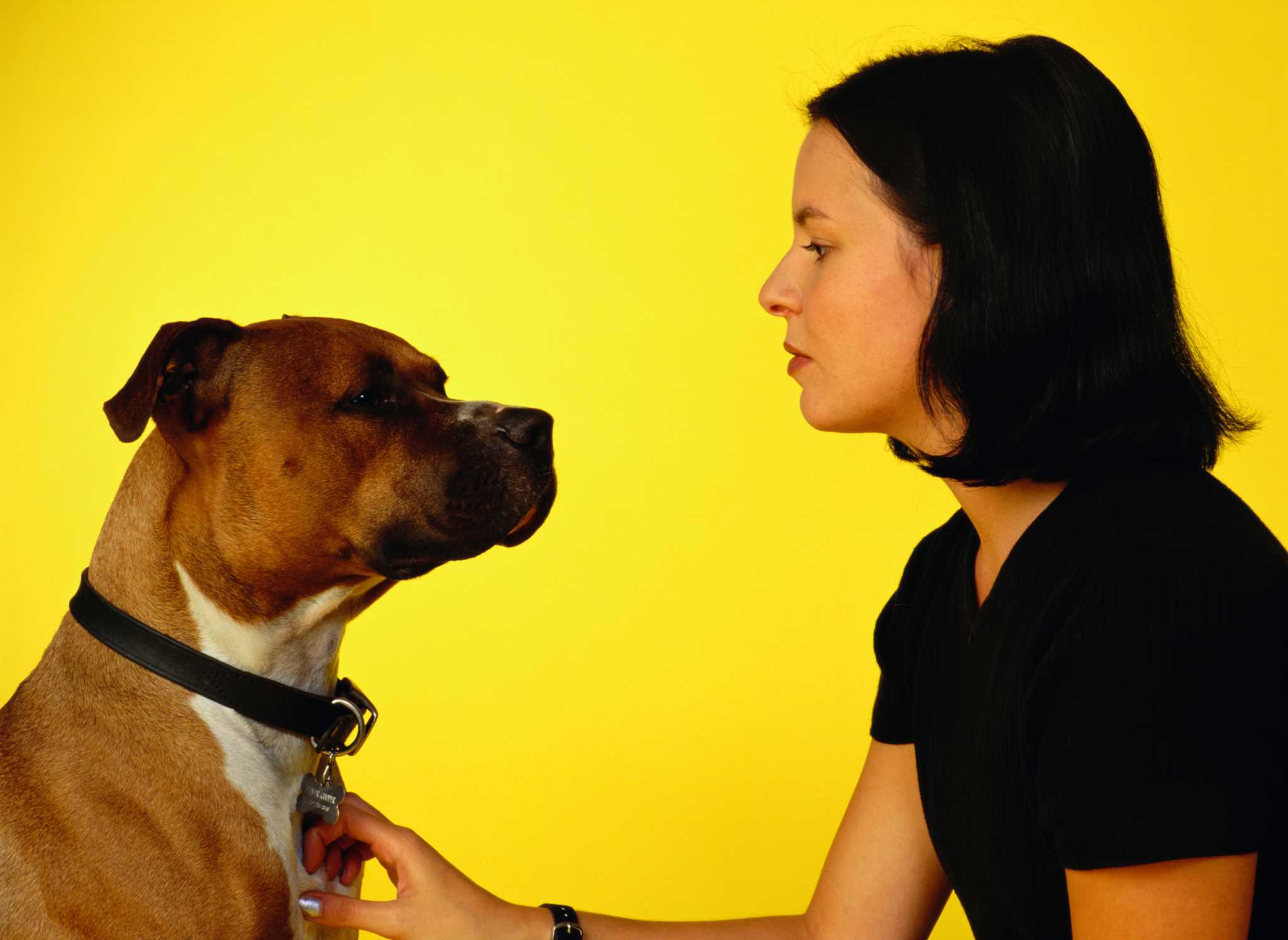 Borax & Salt Mixture to Kill Fleas