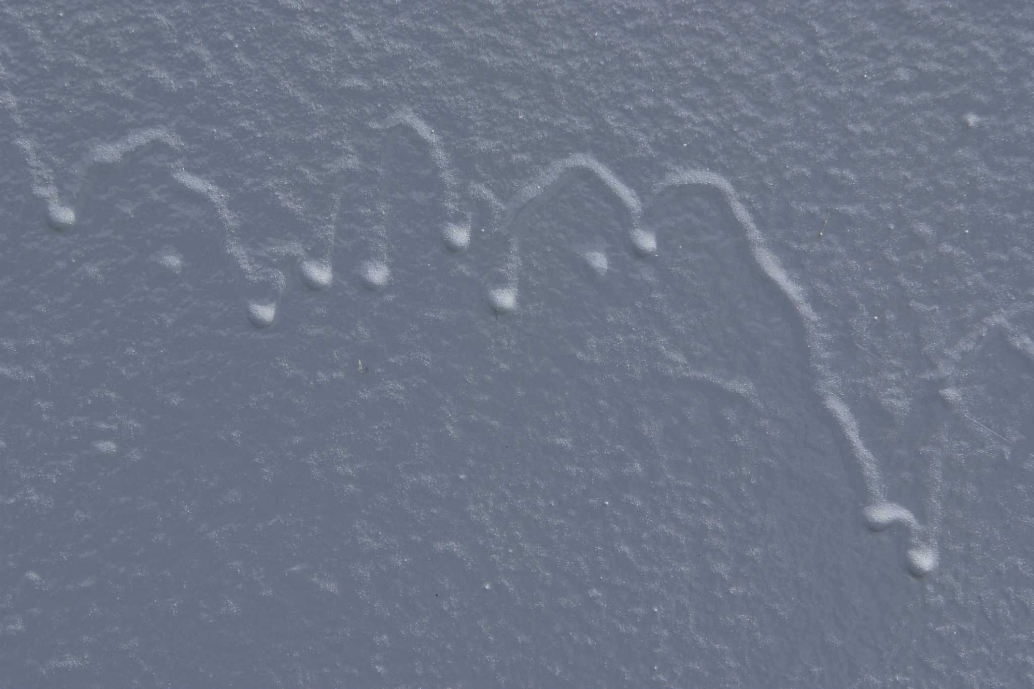 How to Fix Drips on Freshly Painted Walls