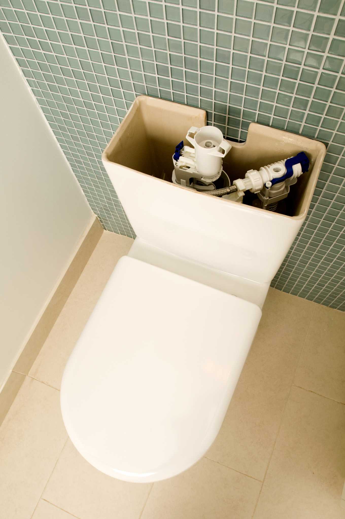 One-Piece vs. Two-Piece Toilets: What's the Difference?