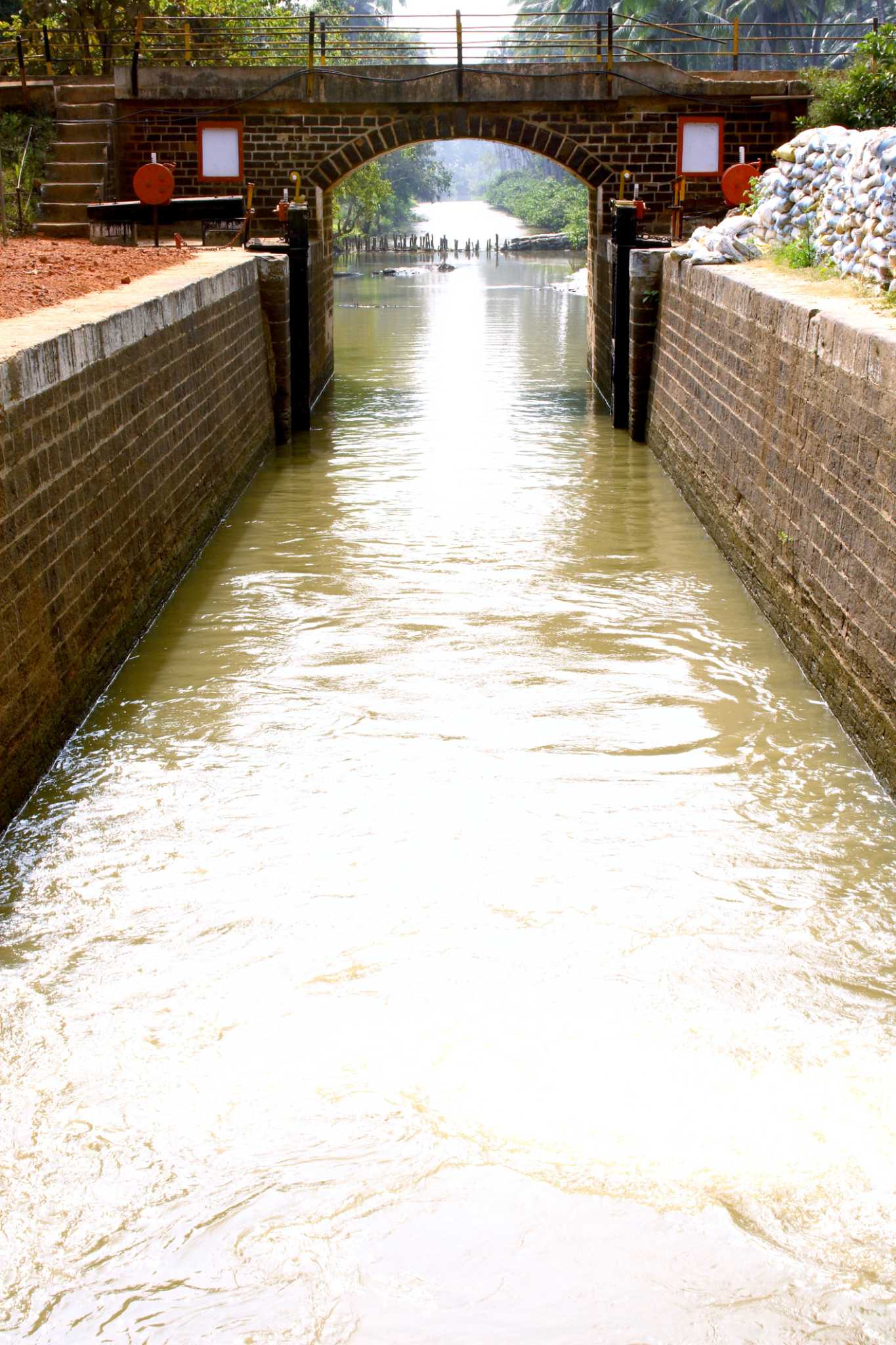 How to Build a Rill Water Garden