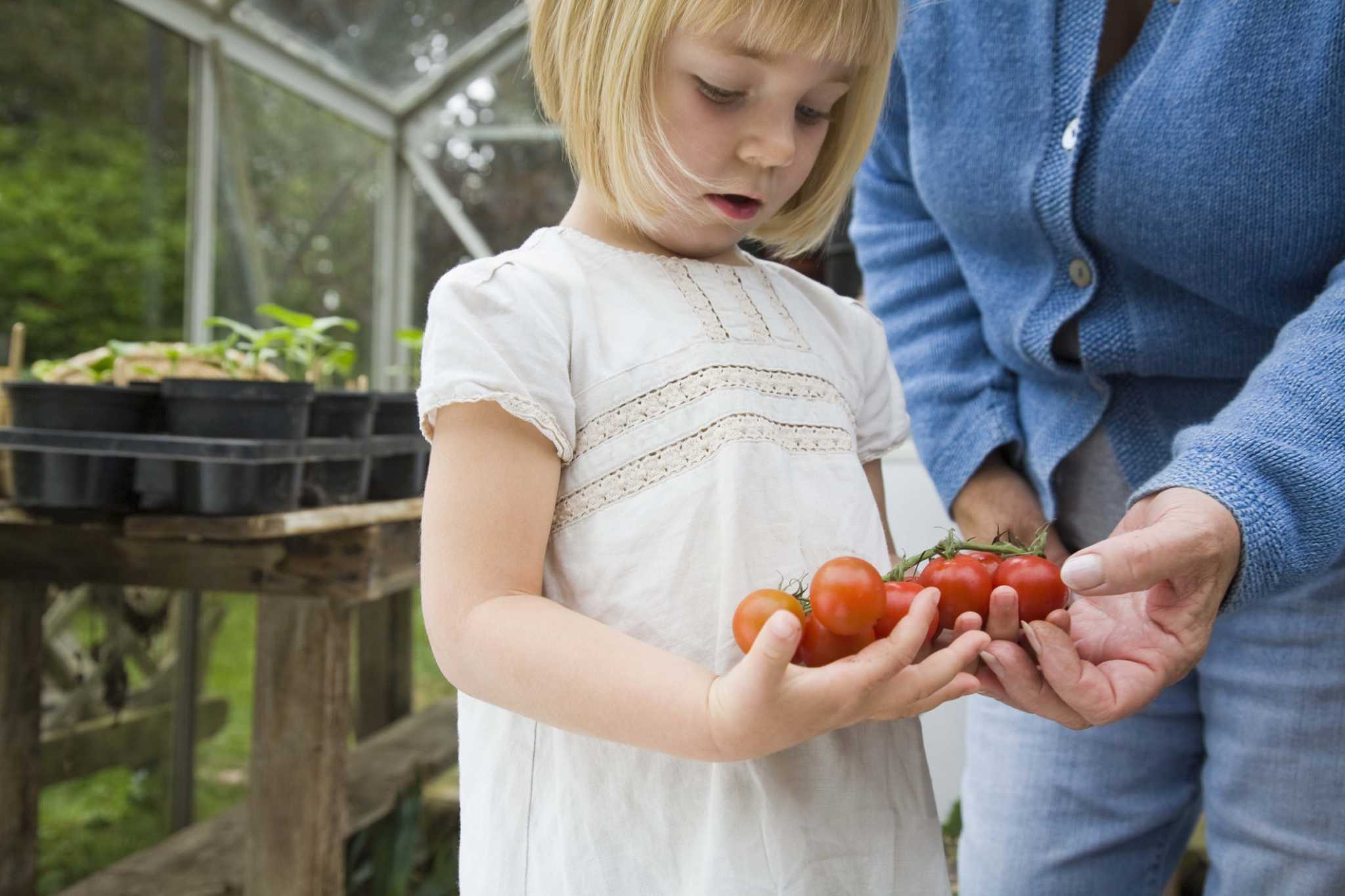 How to Build a Sun Pit Greenhouse