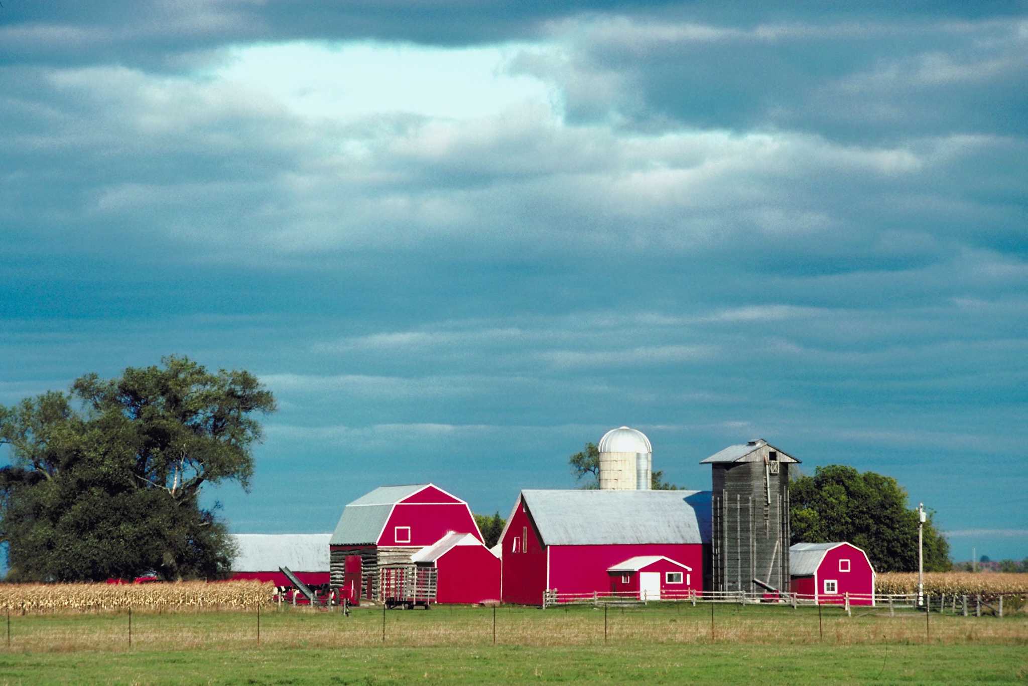 How To Build A Tin Roof Cover