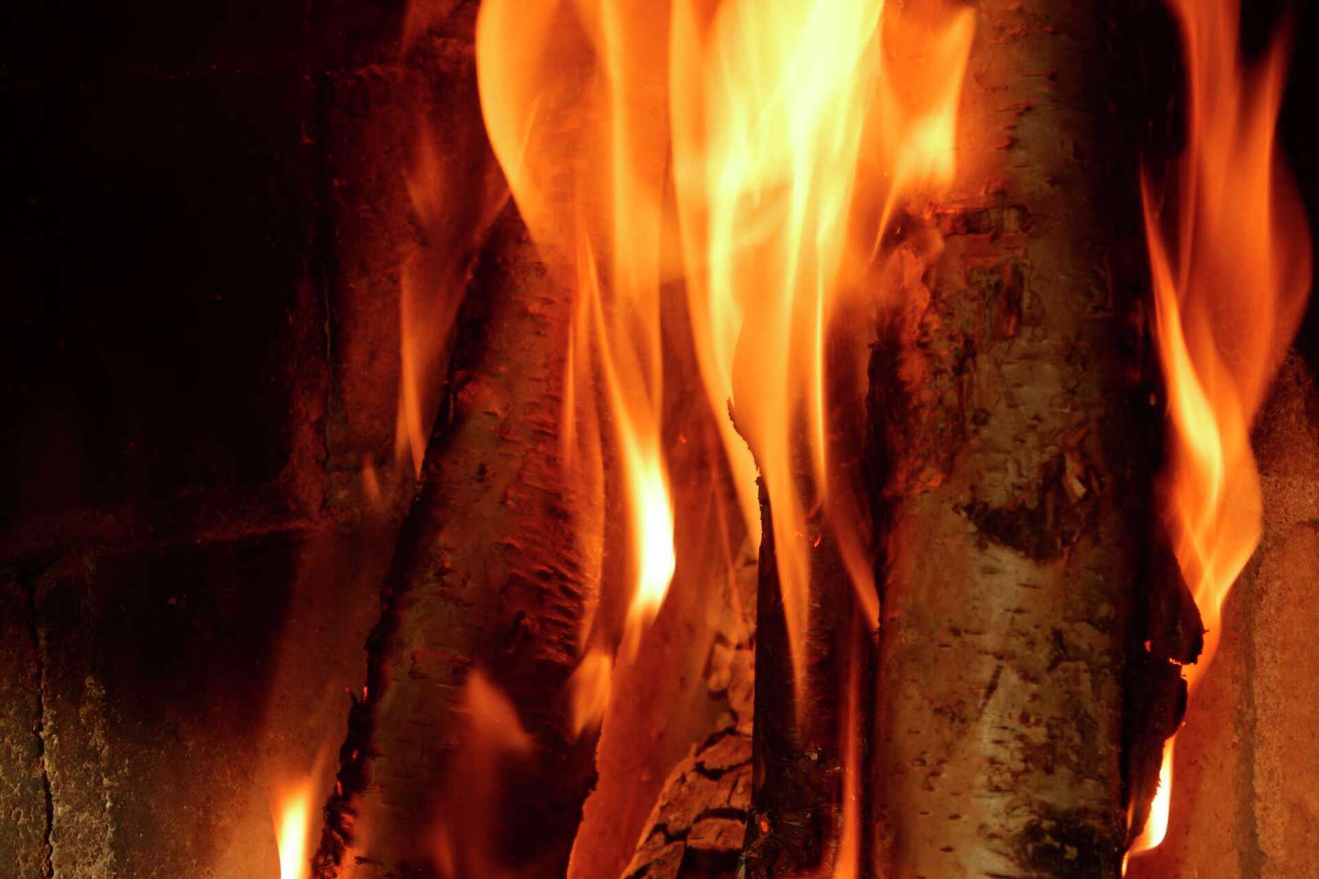 Does Burning Oleander Produce Poisonous Smoke?