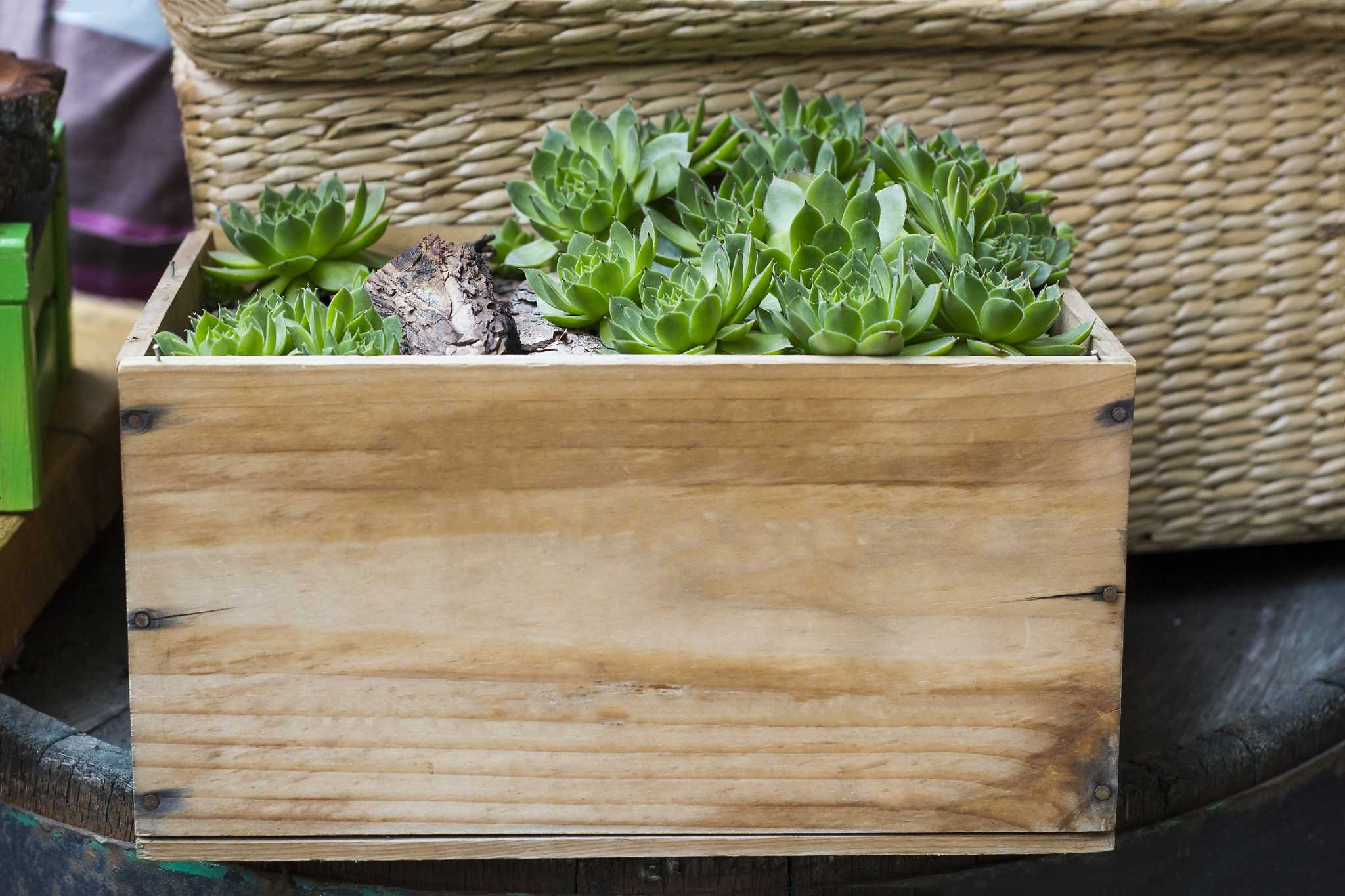 How to Calculate How Much Soil Is Needed in a Raised Bed Planter Box