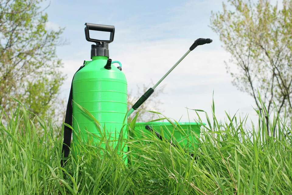 Temperature to Apply WeedBGon