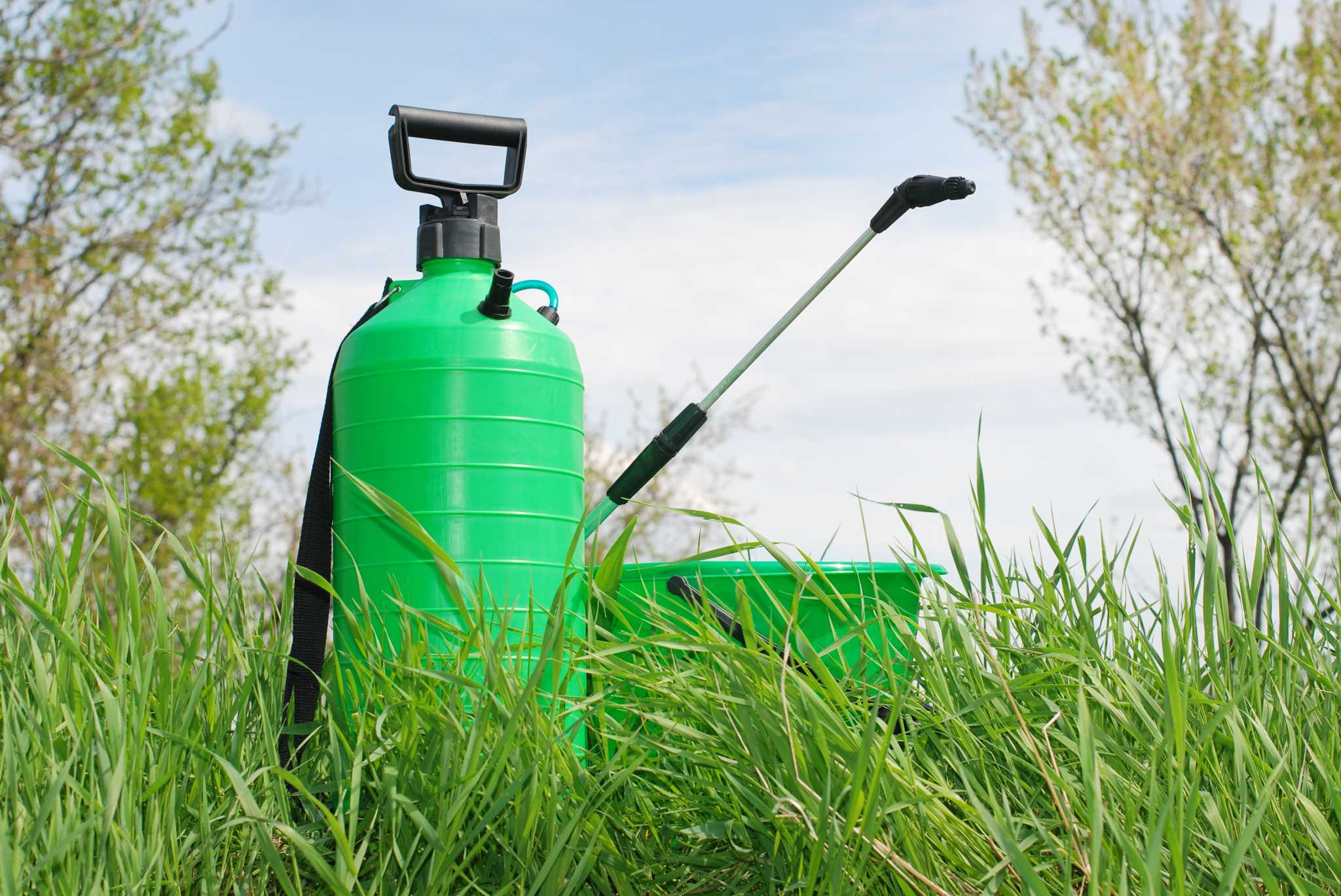 Temperature to Apply WeedBGon