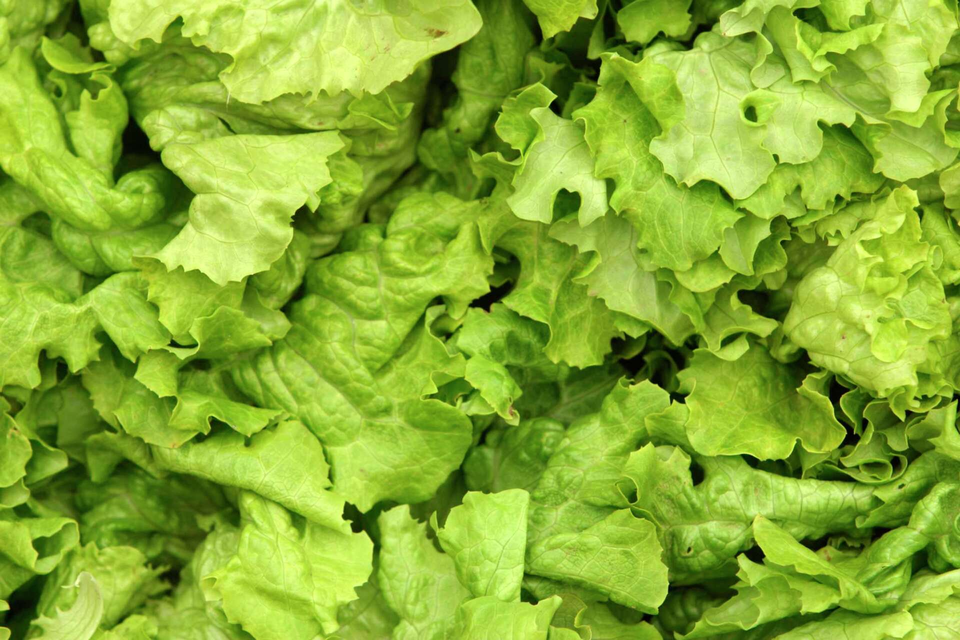 How to Lay Out a Lettuce & Beet Garden
