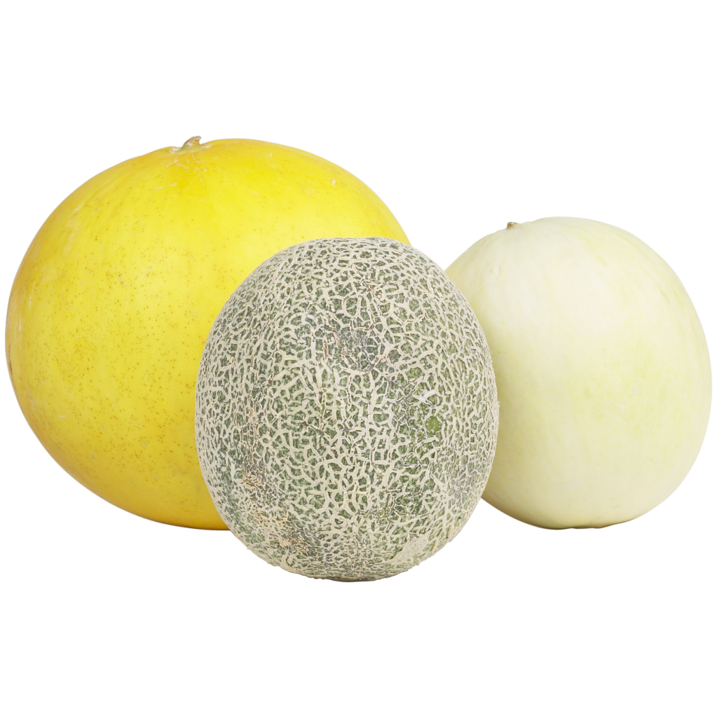 How to Grow Melons Indoors