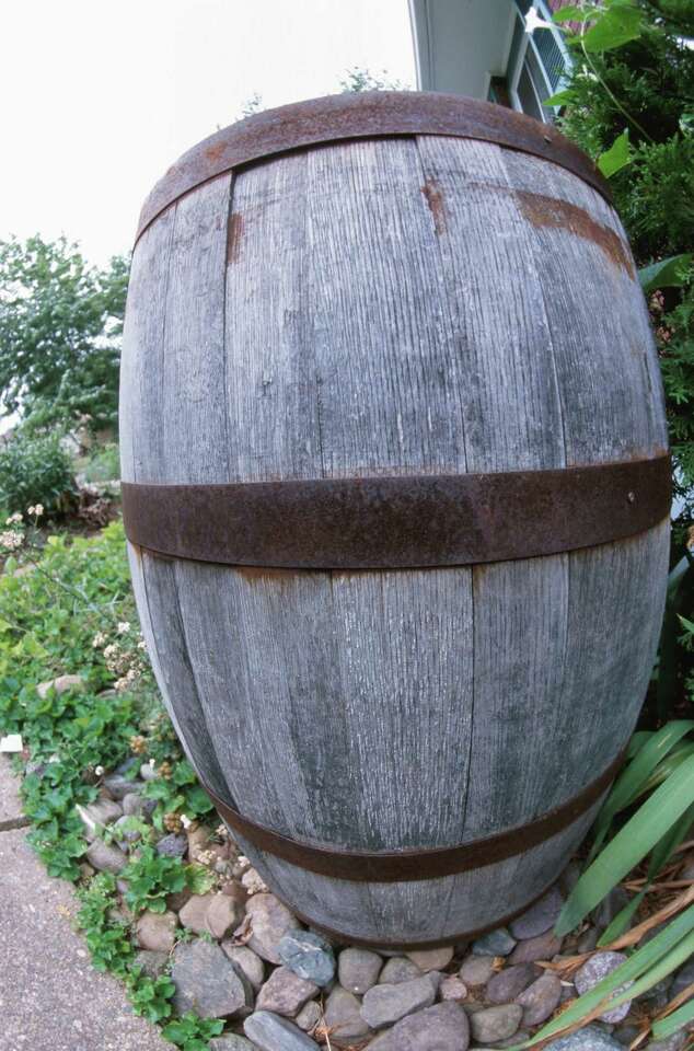 Fruit Trees for Wine Barrels