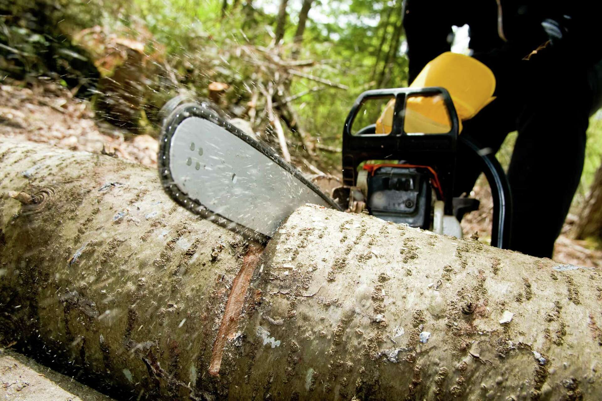 The Gas-to-Oil Mix Ratio for an Echo Chainsaw