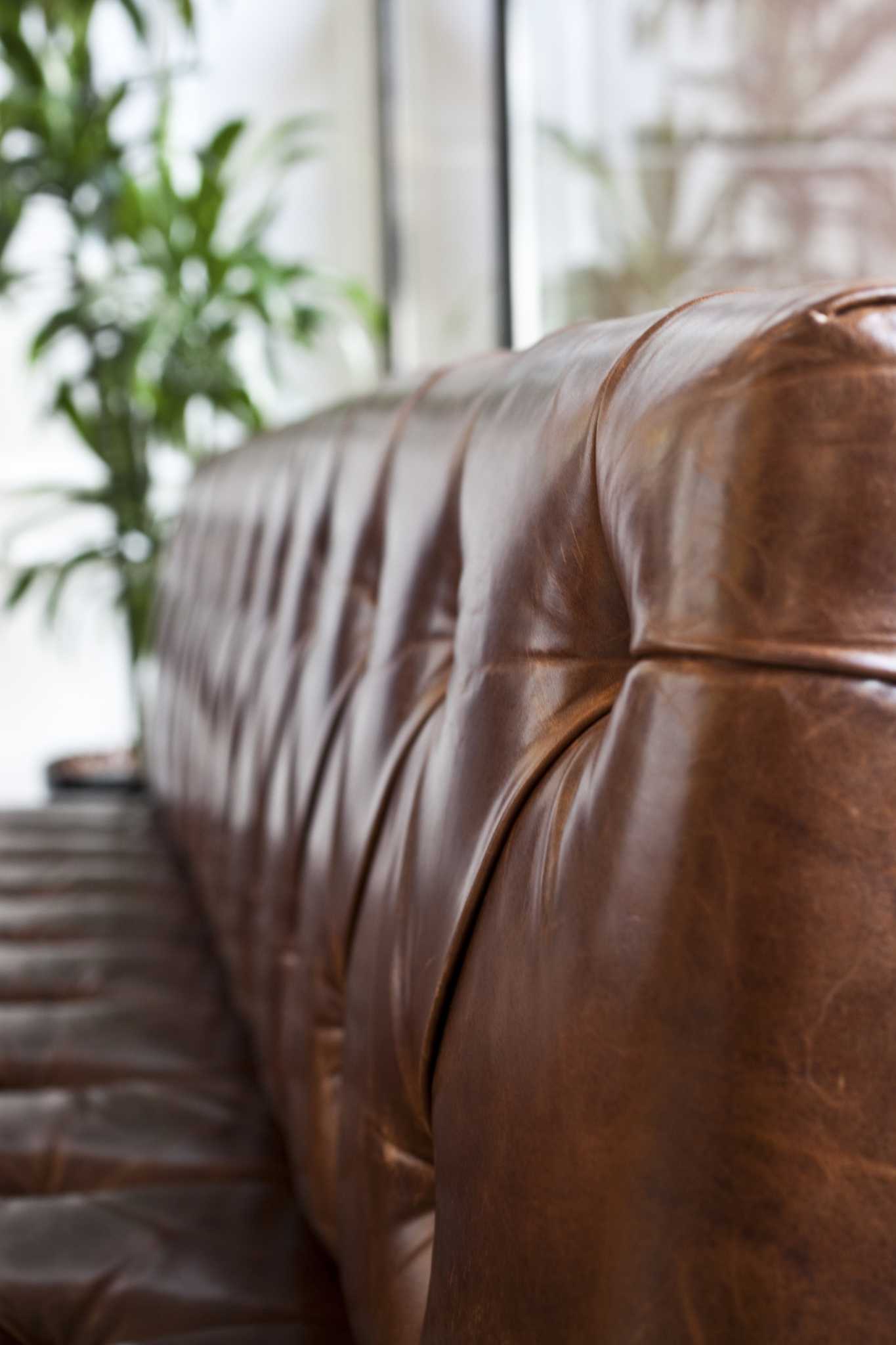 White Leather Dye For Sofa Baci Living Room