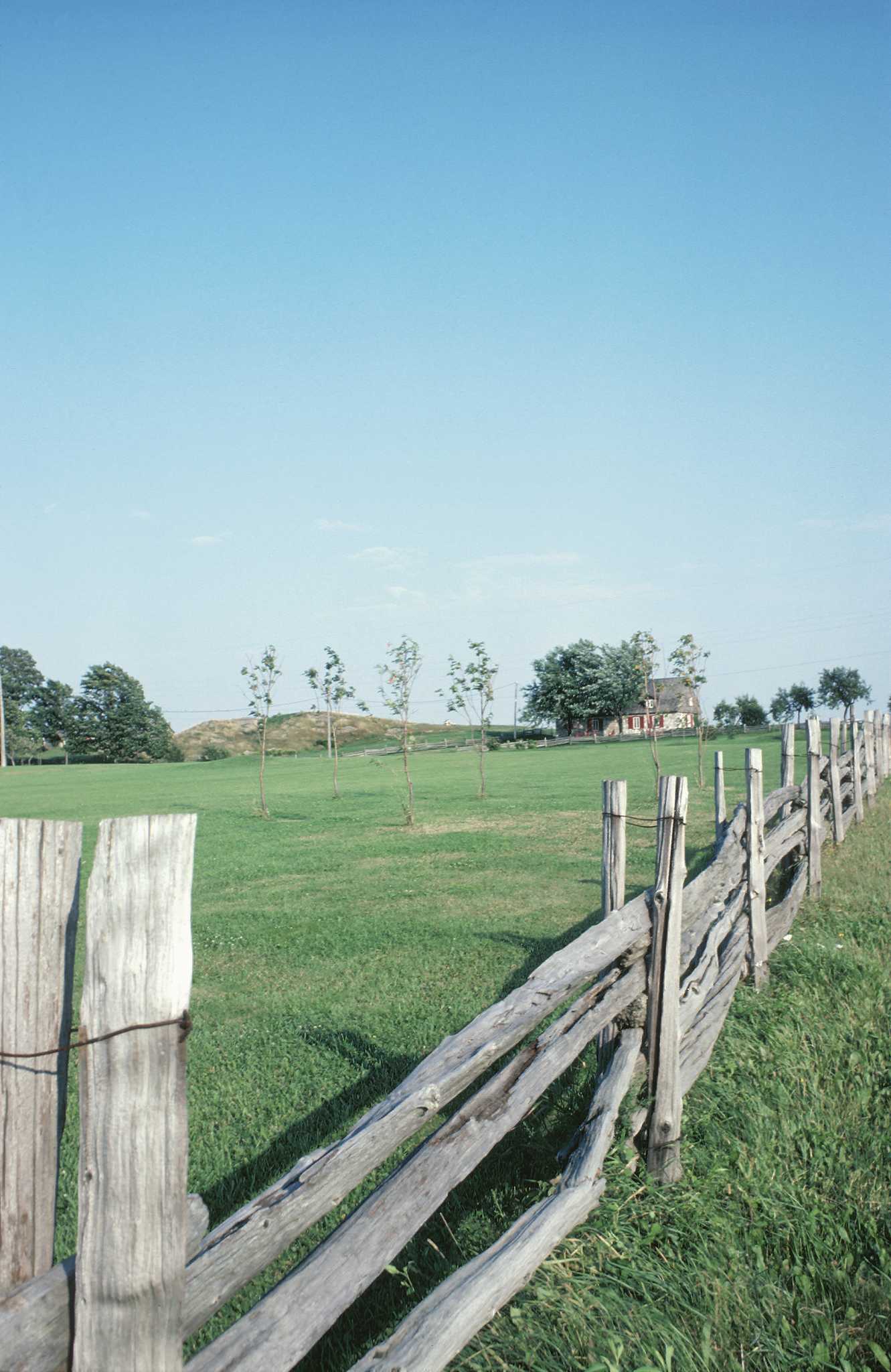 Can a Coowner Sell Half of a Piece of Land?