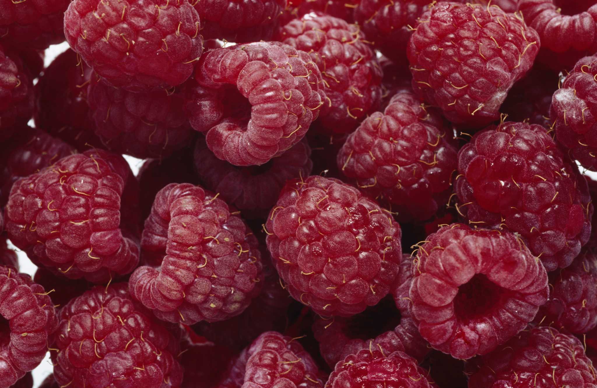 Can You Dig Up Raspberries in Fall & Replant Them in Spring?
