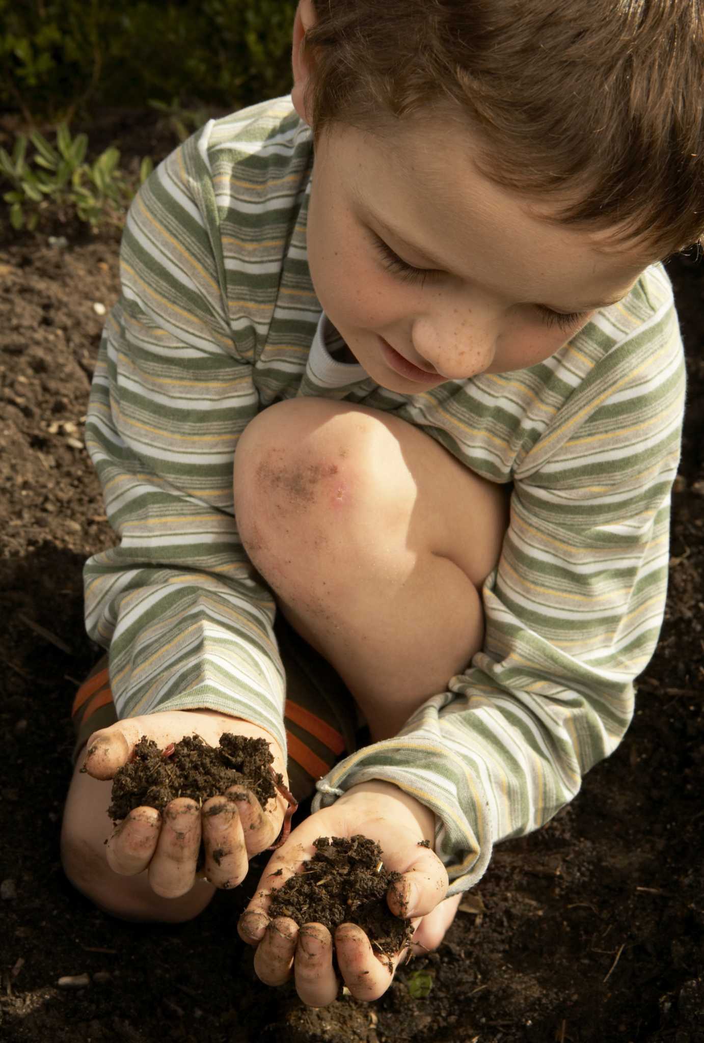 How To Garden In Gravelly Soil