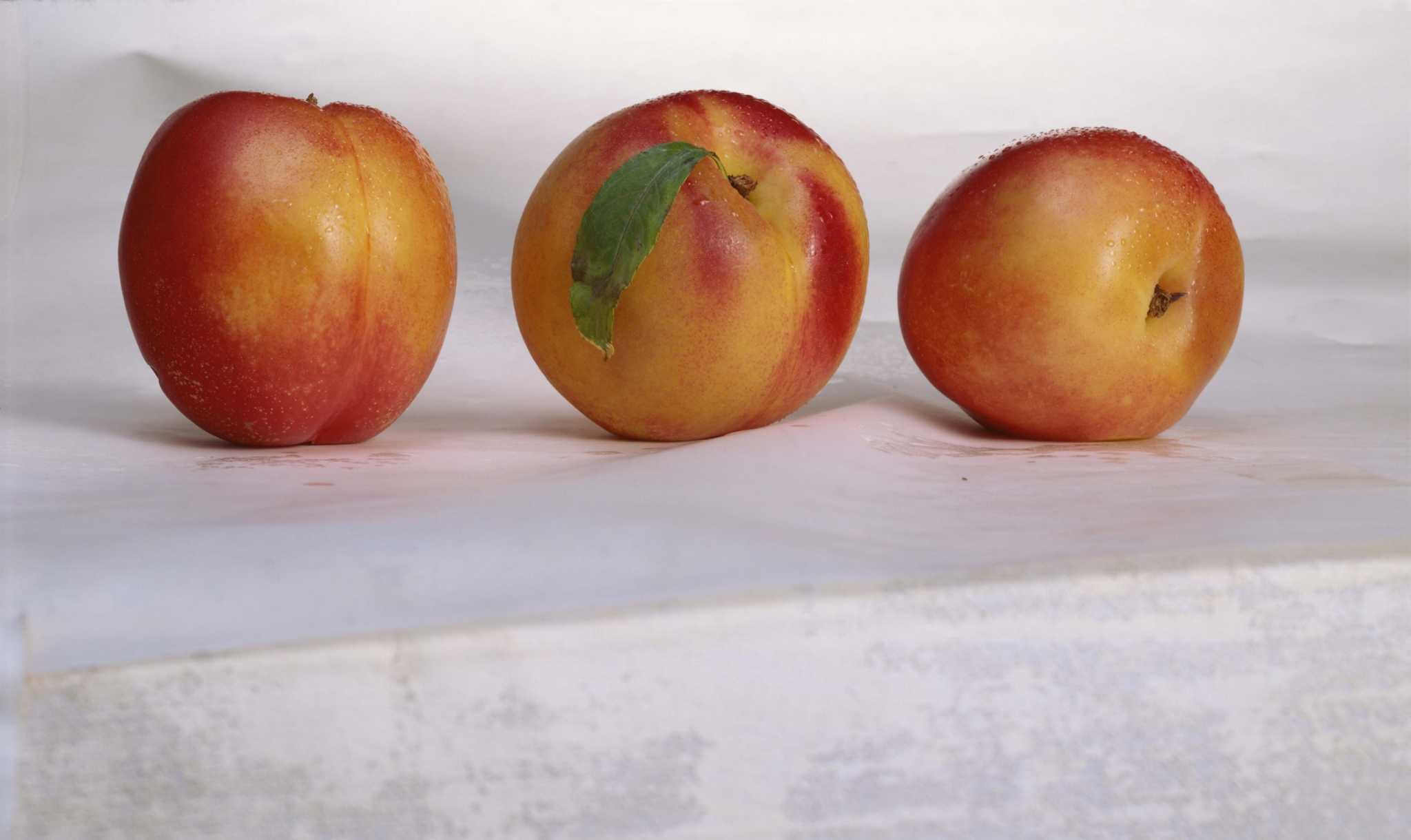 Growing Peaches and Nectarines in the Home Landscape